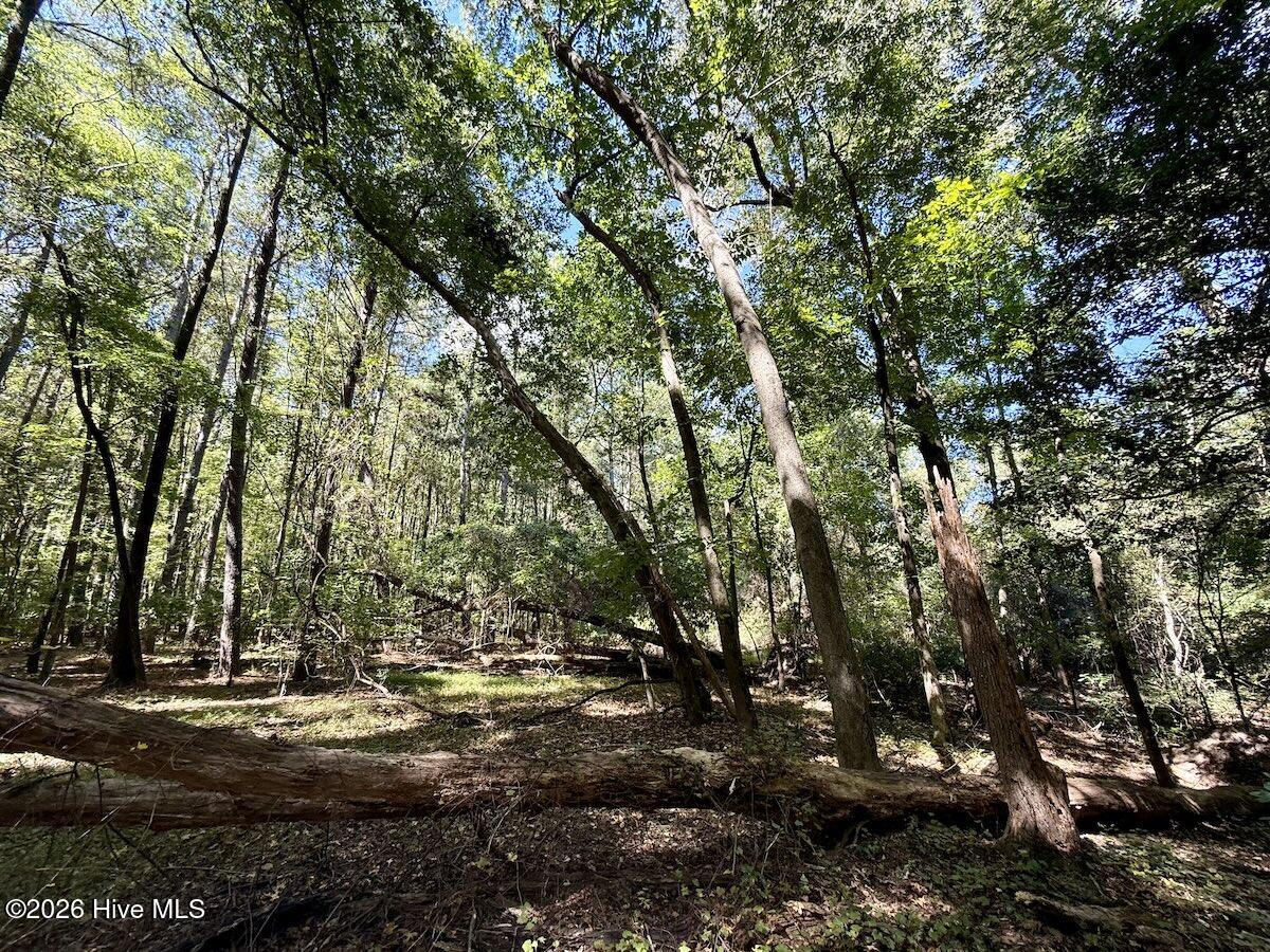 445 Morris Bbq Road Property Photo 23