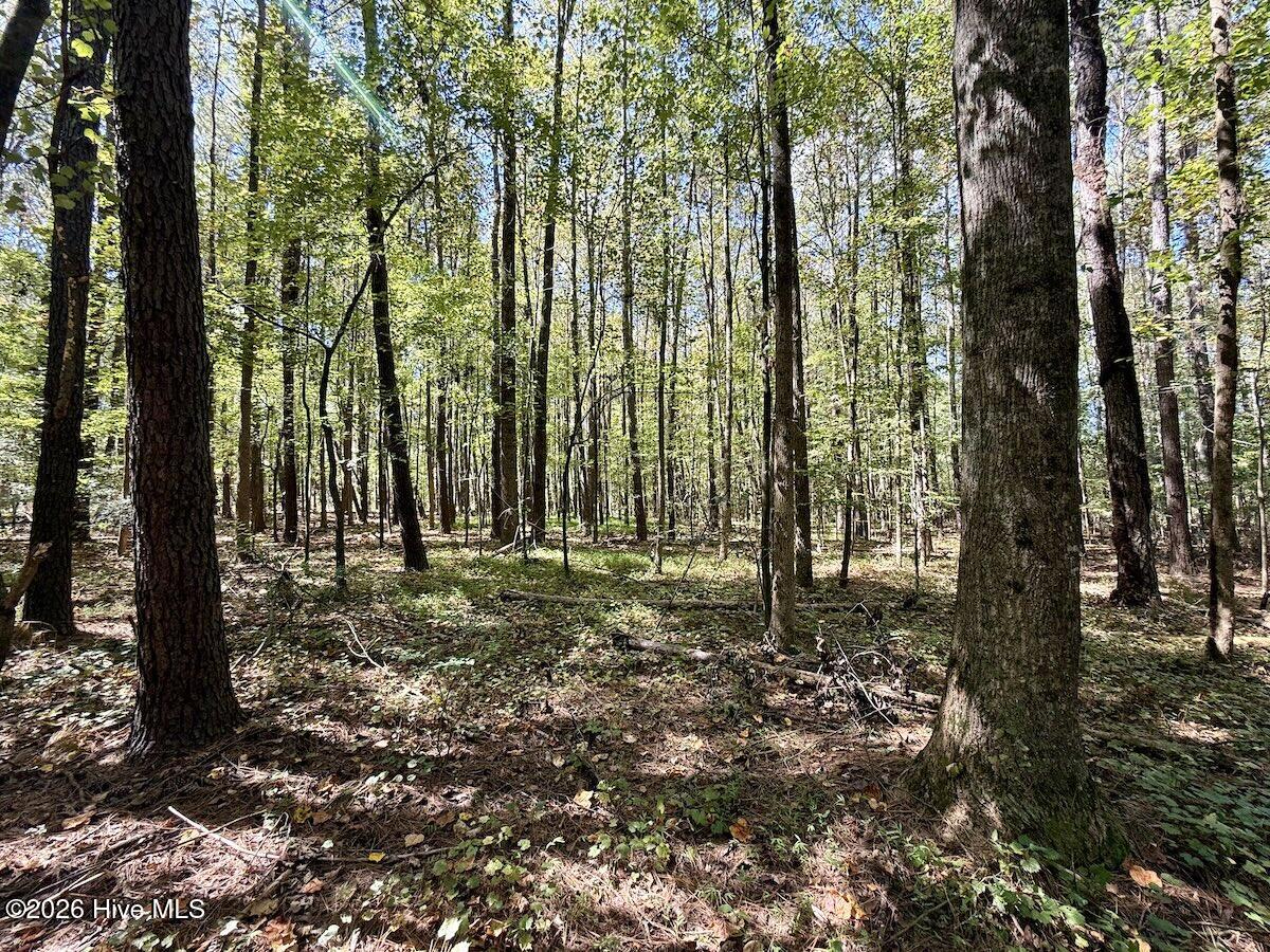 445 Morris Bbq Road Property Photo 24