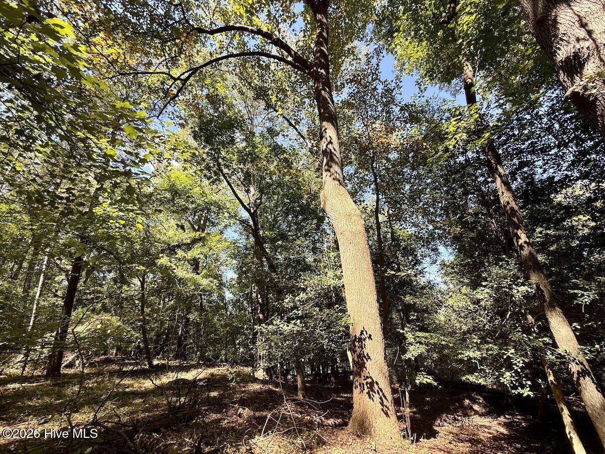 445 Morris Bbq Road Property Photo 25
