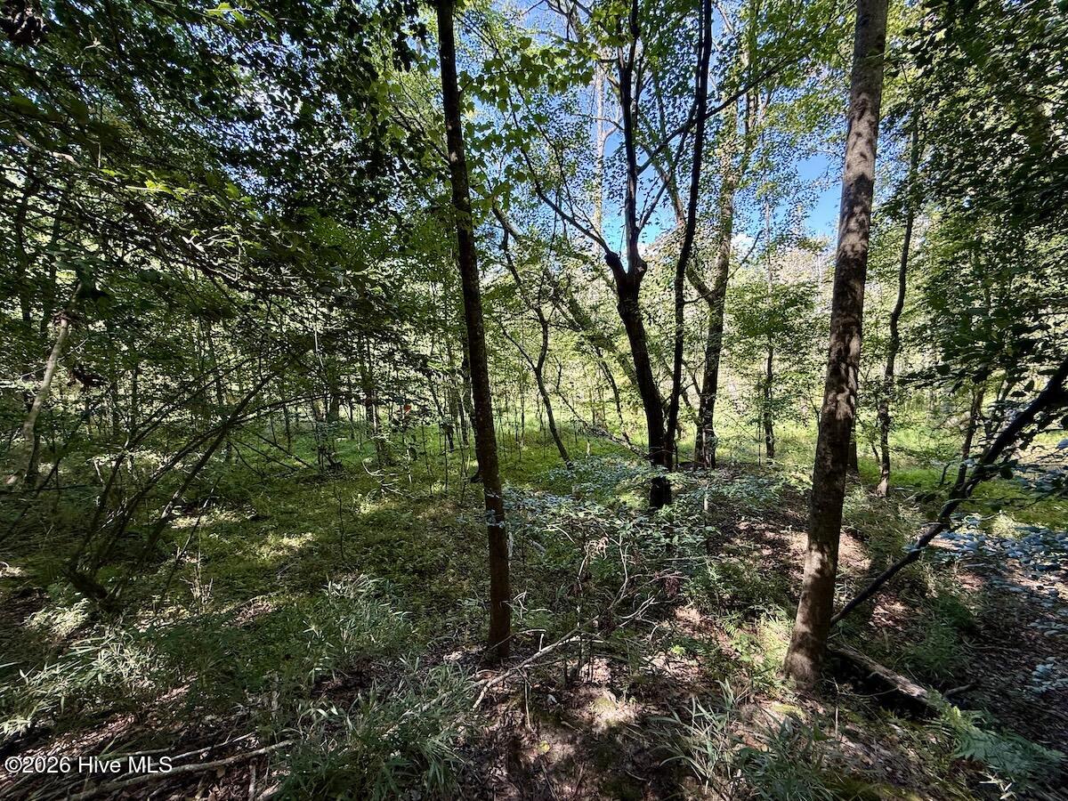 445 Morris Bbq Road Property Photo 26
