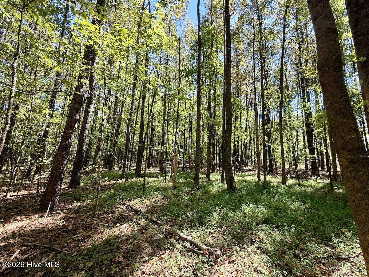 445 Morris Bbq Road Property Photo 28