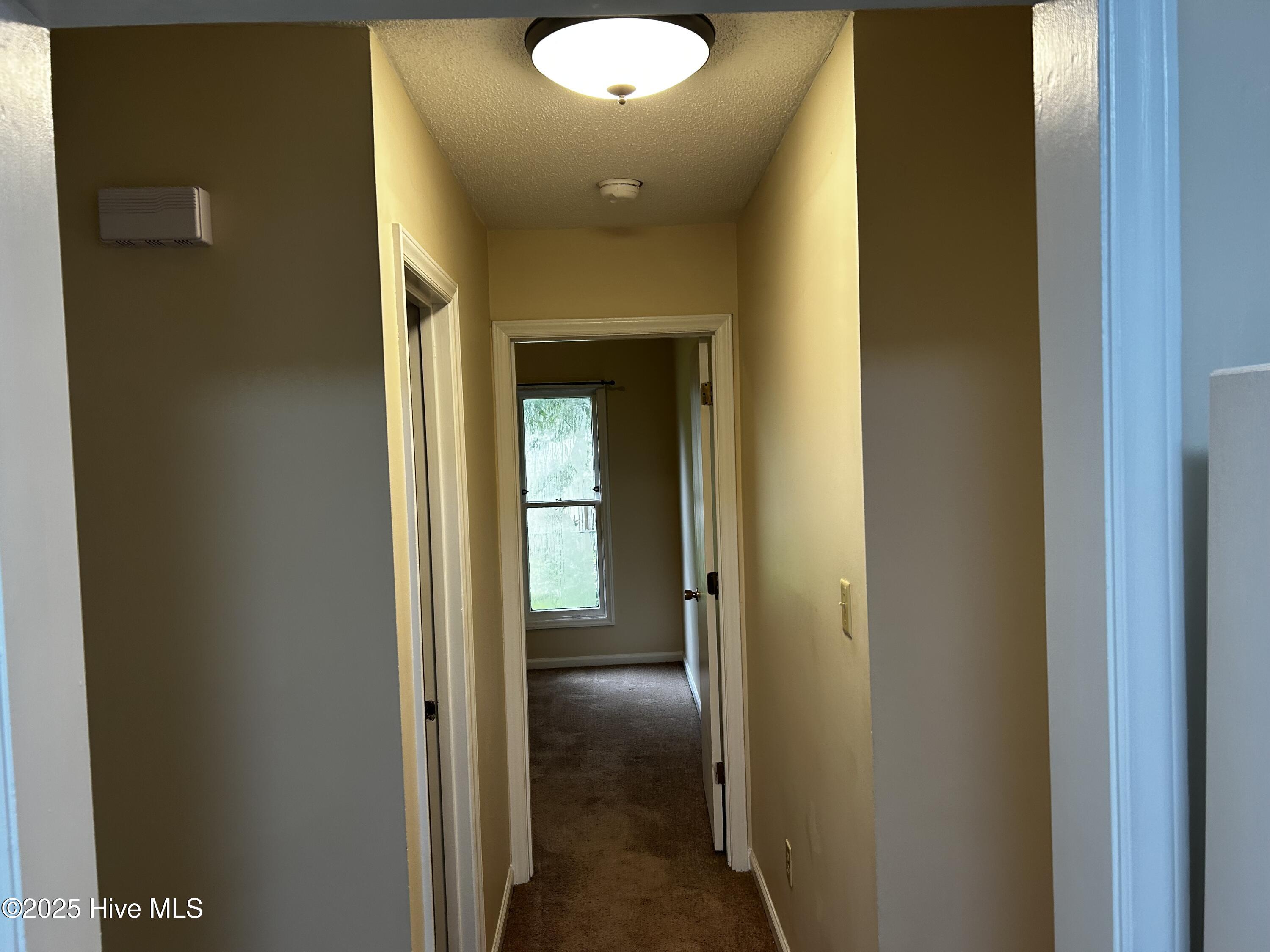 1003 Stillwood Circle Property Photo 7