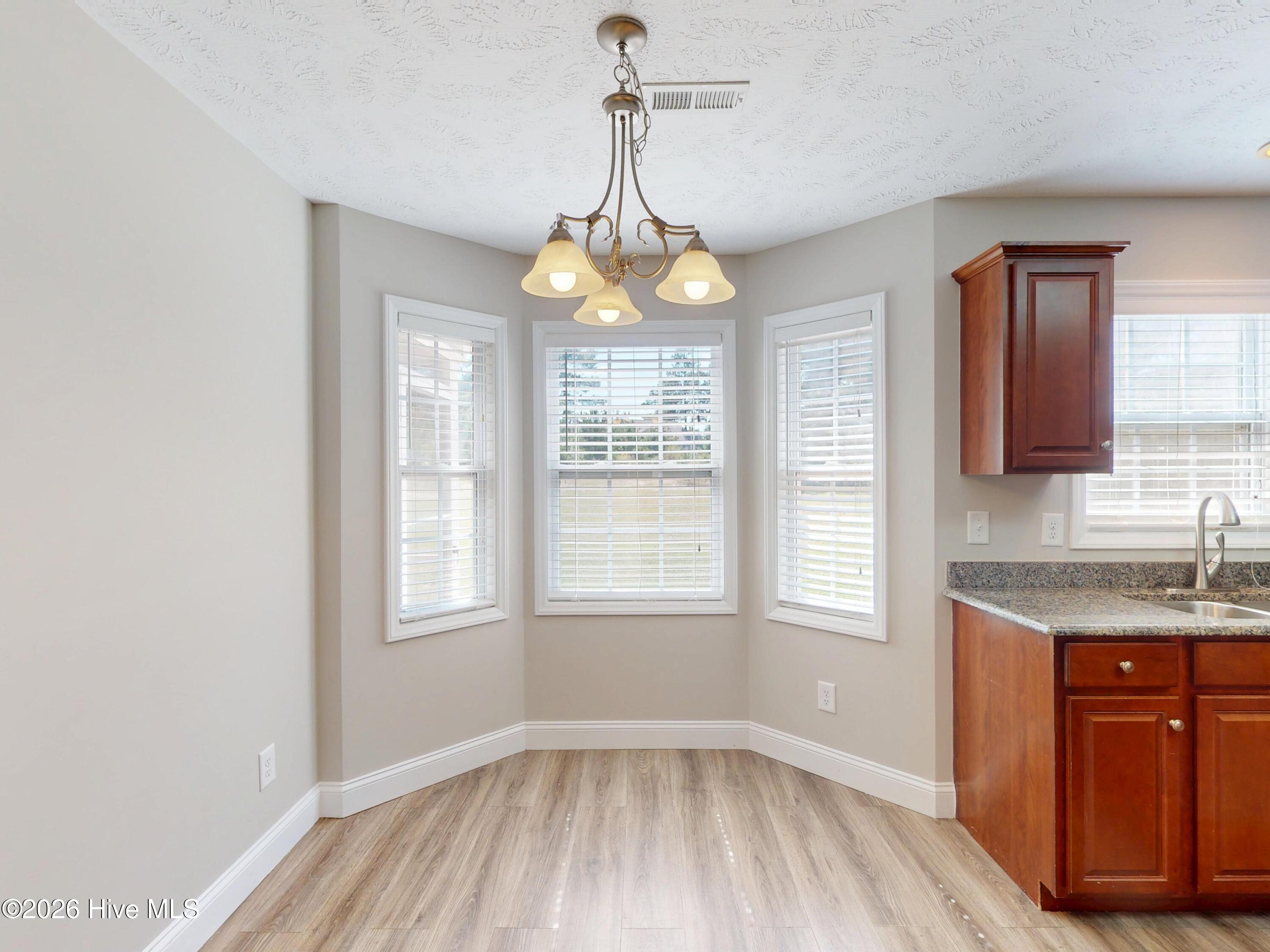 205 Spring Flowers Drive Property Photo 14