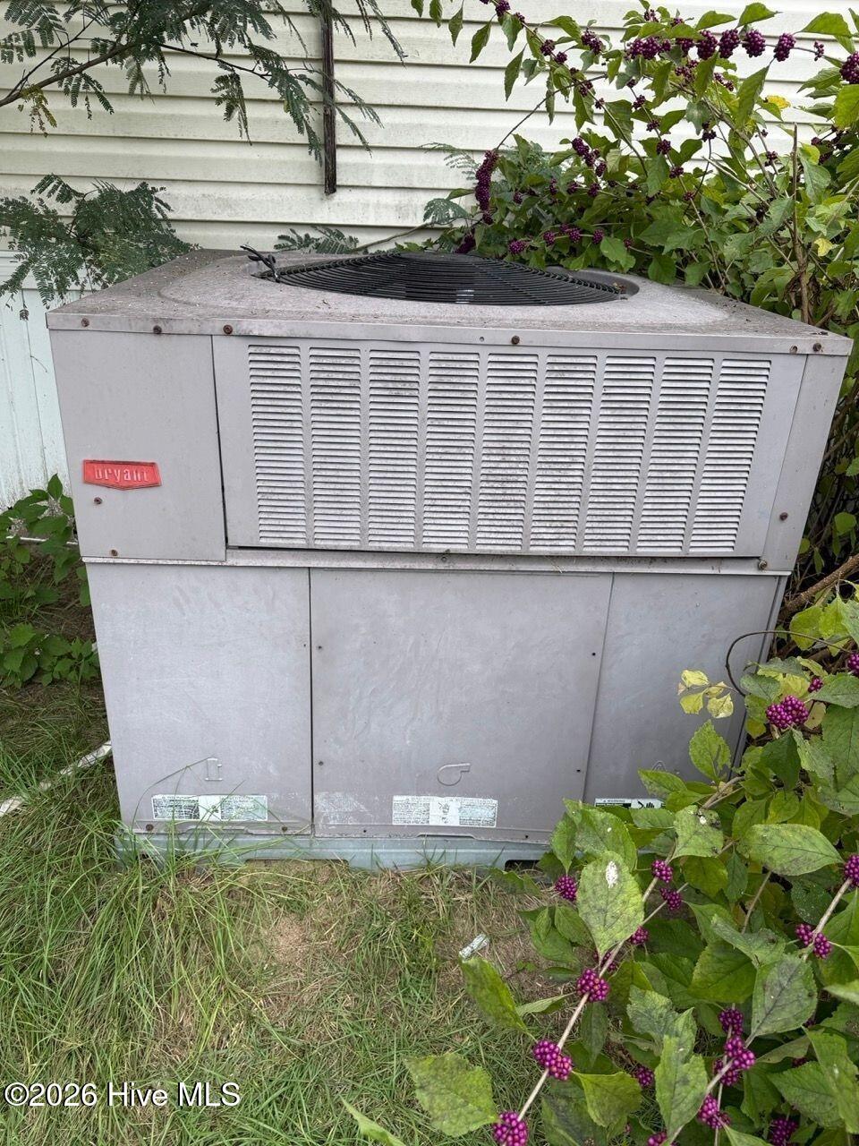 249 Cook Road Property Photo 8