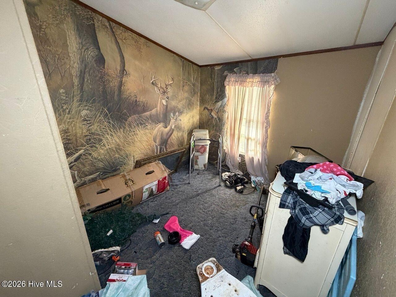 249 Cook Road Property Photo 14