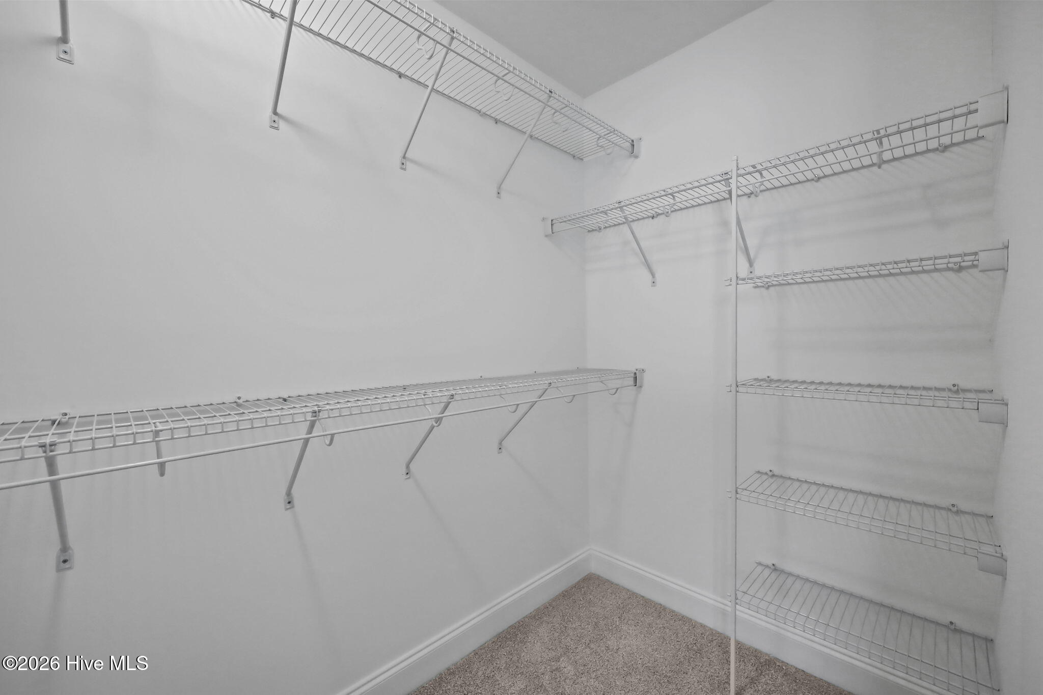 337 Gerbera Court Property Photo 21