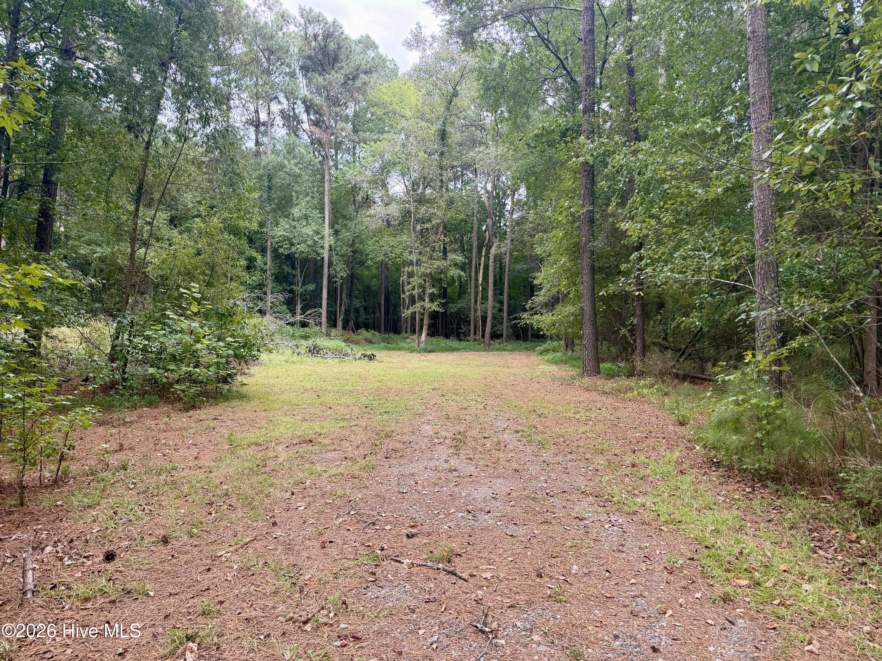 0 Mclawhorn Farm Road Property Photo 2