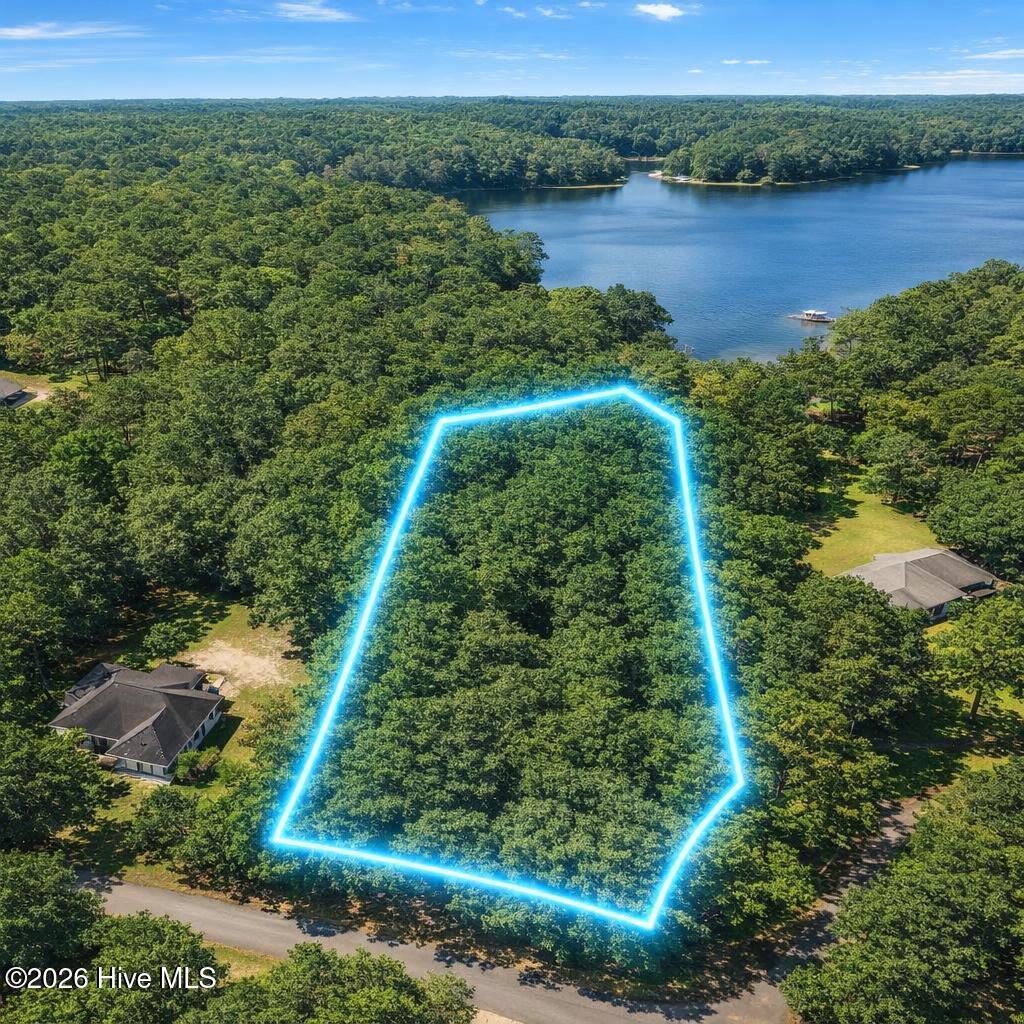 0 Lakeview Drive Property Photo 1