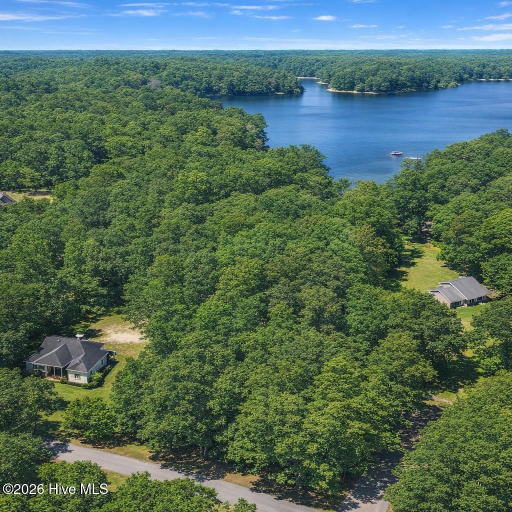0 Lakeview Drive Property Photo 2