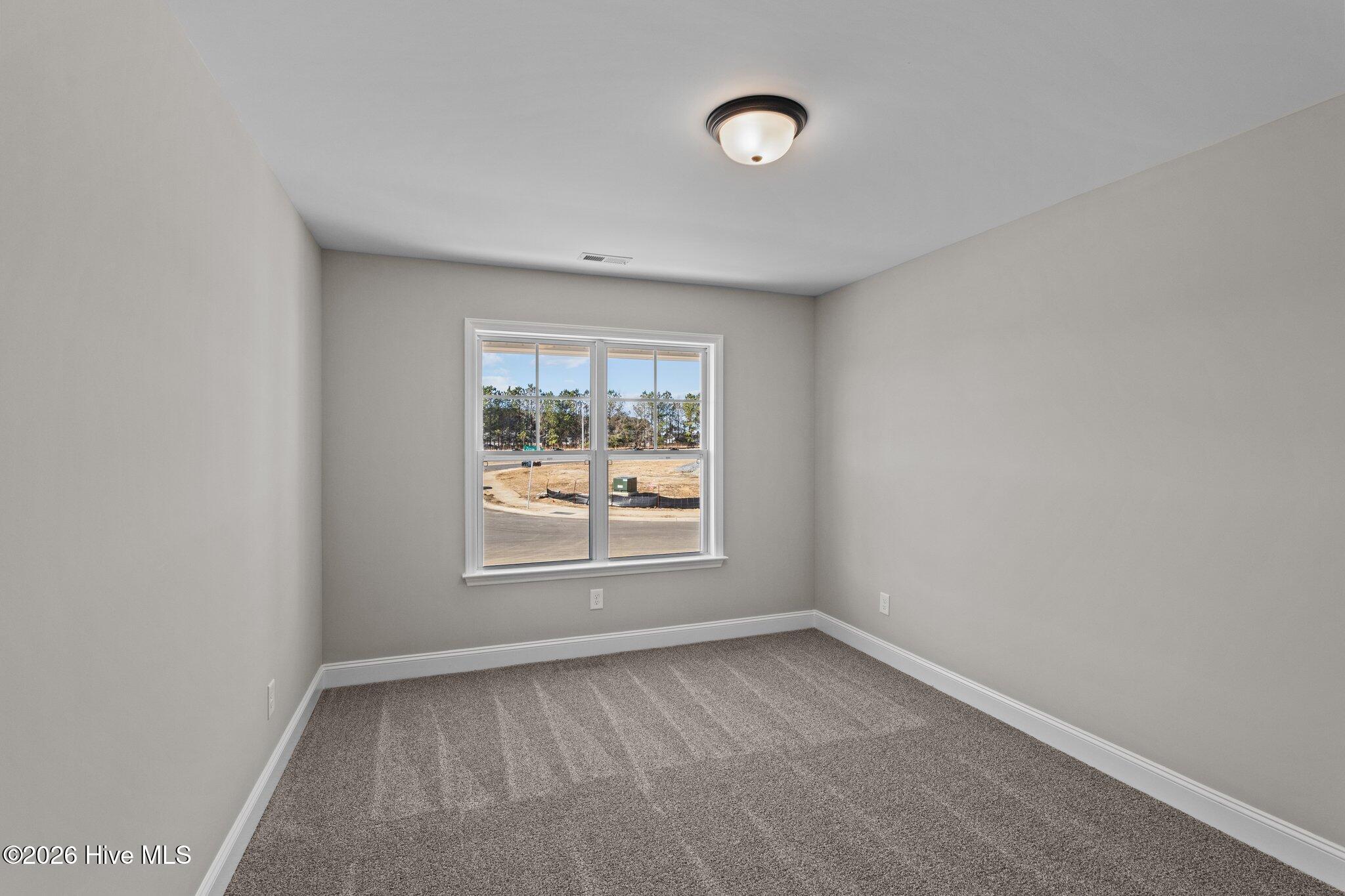 2345 Rhinestone Drive Property Photo 22