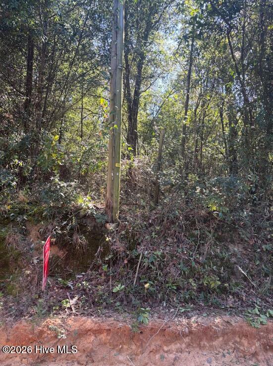 Lt 17 Foreman Floyd Circle Property Photo 1