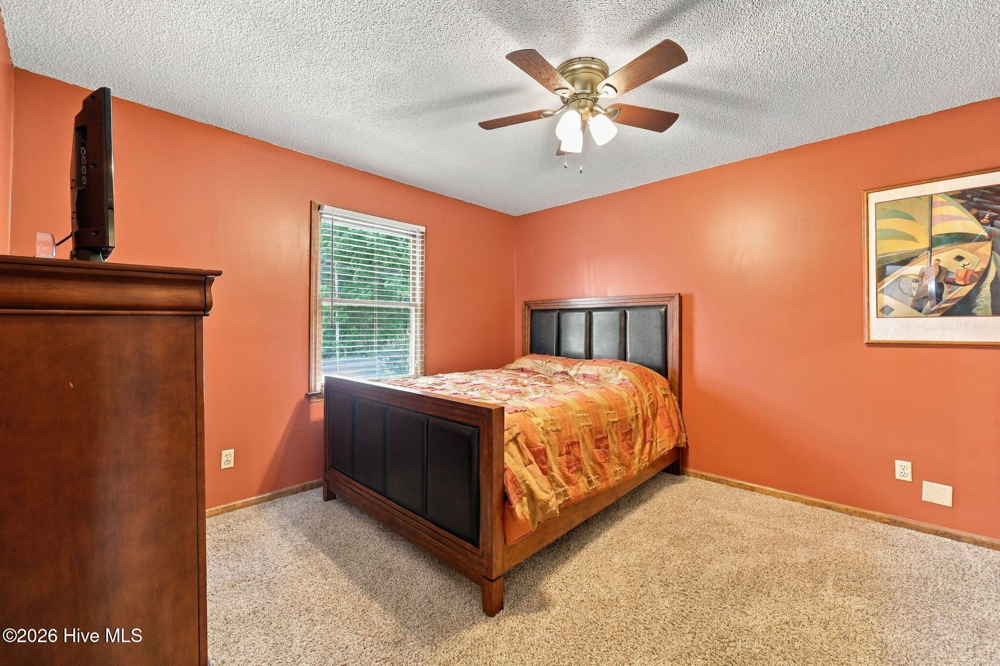 117 Hale Street Property Photo 20