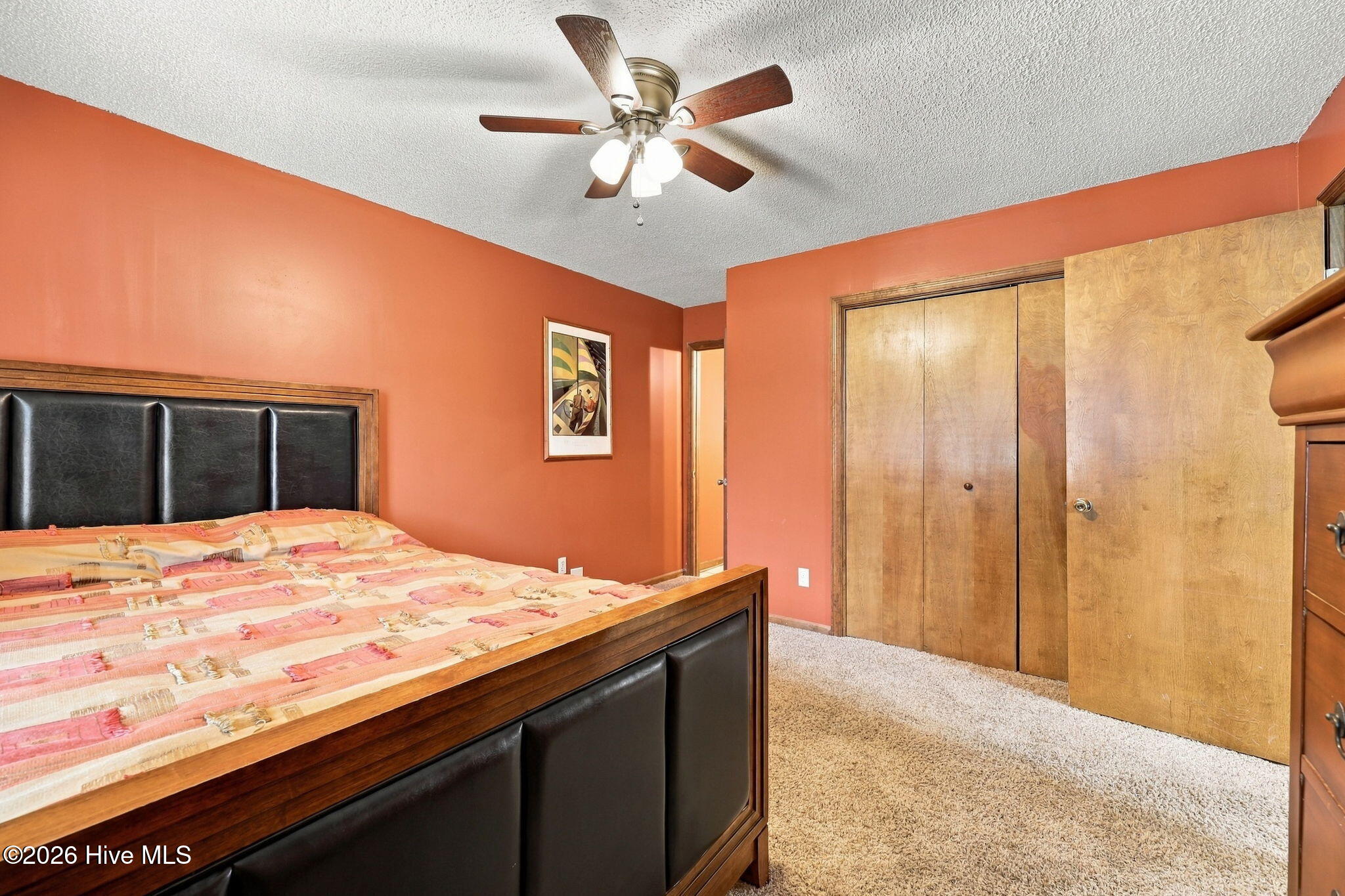 117 Hale Street Property Photo 21
