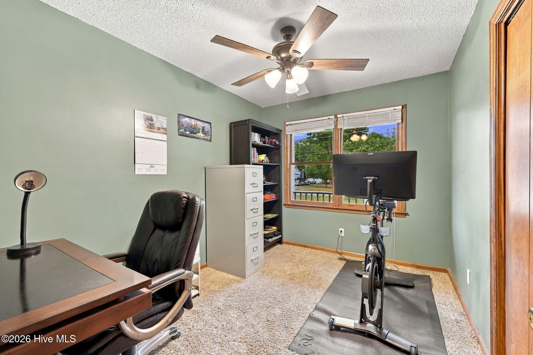 117 Hale Street Property Photo 31