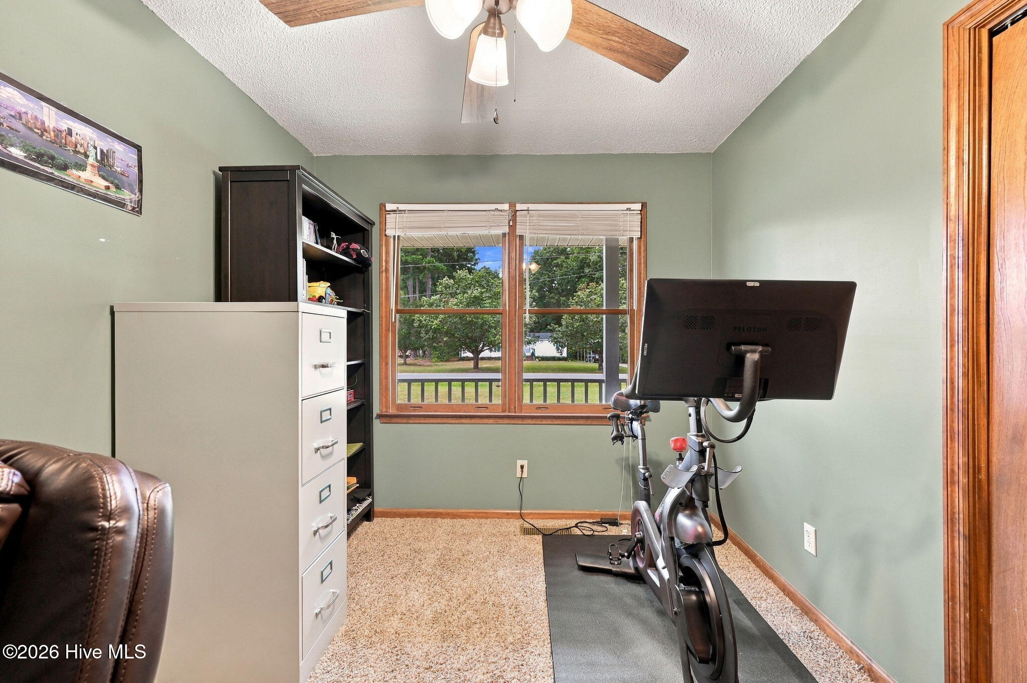 117 Hale Street Property Photo 32