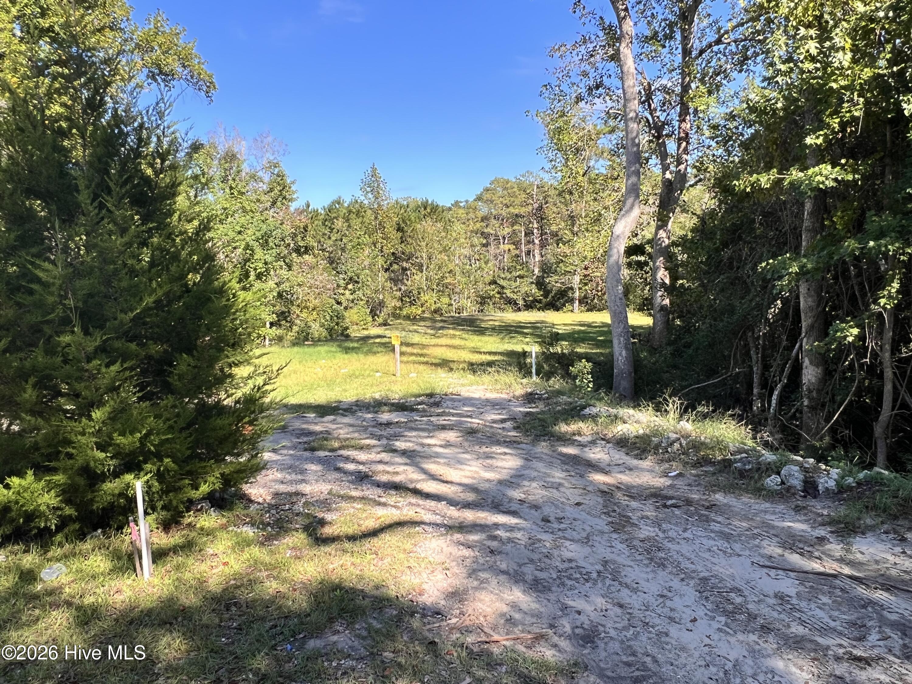 436 Lot #5 Vfw Road Property Photo 8