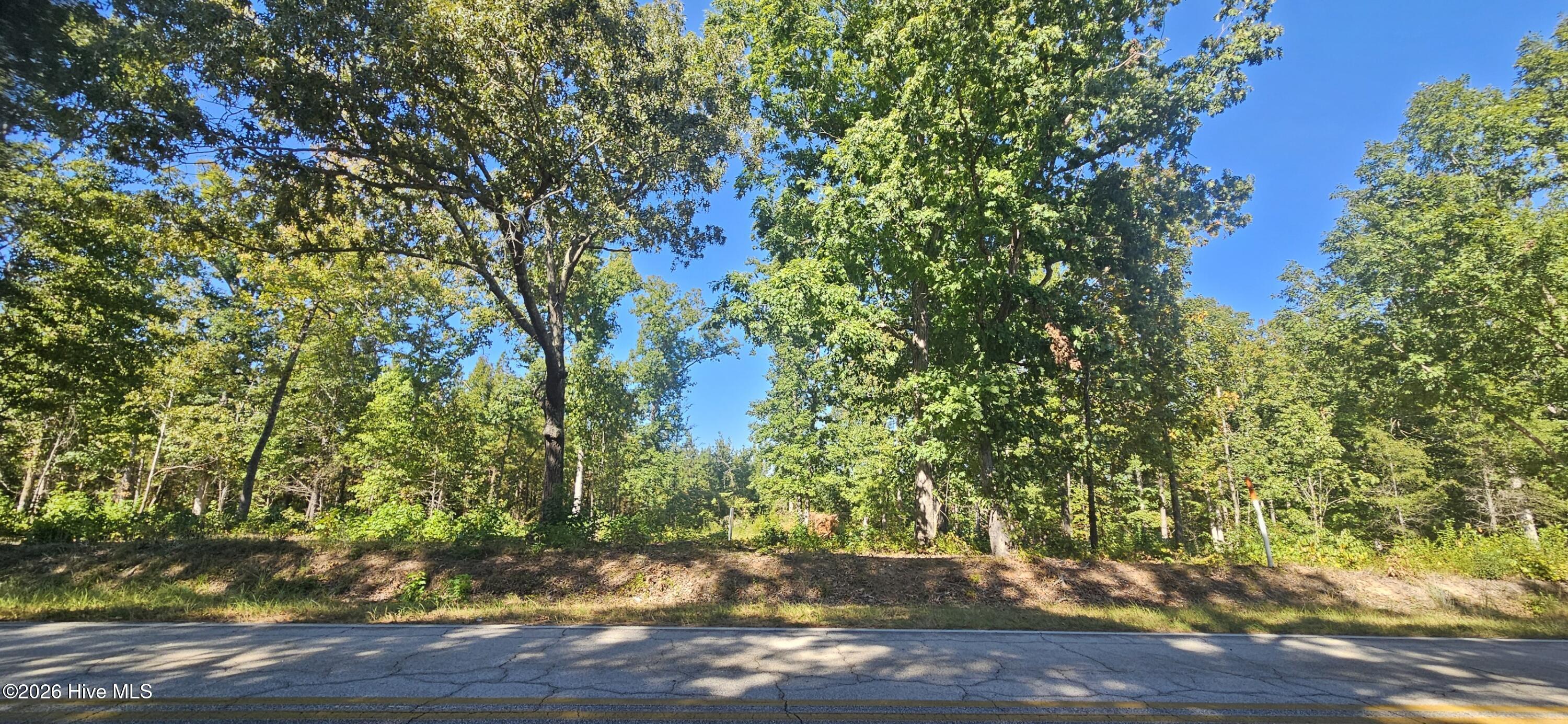 Tract 2 1 Bethany Church Road Property Photo 1