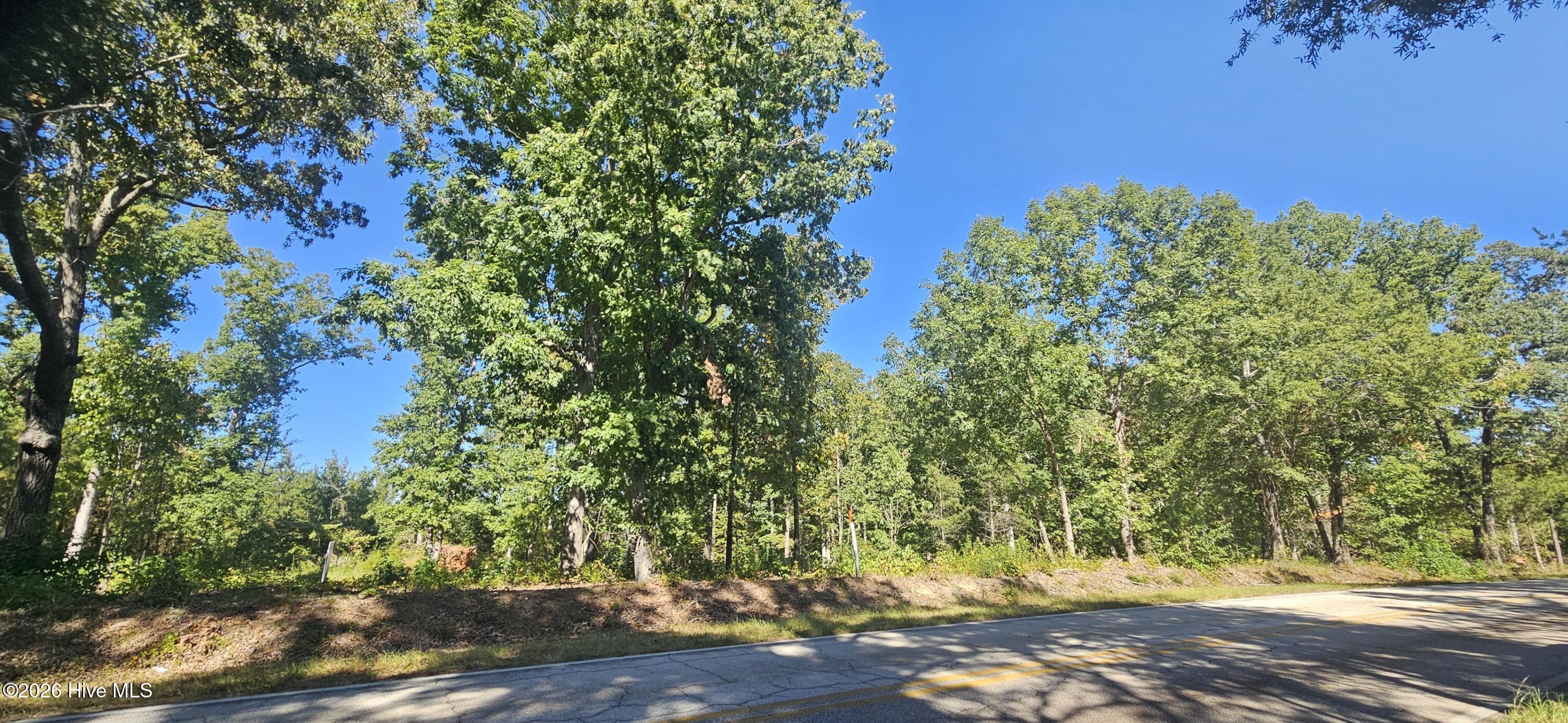 Tract 2 1 Bethany Church Road Property Photo 3