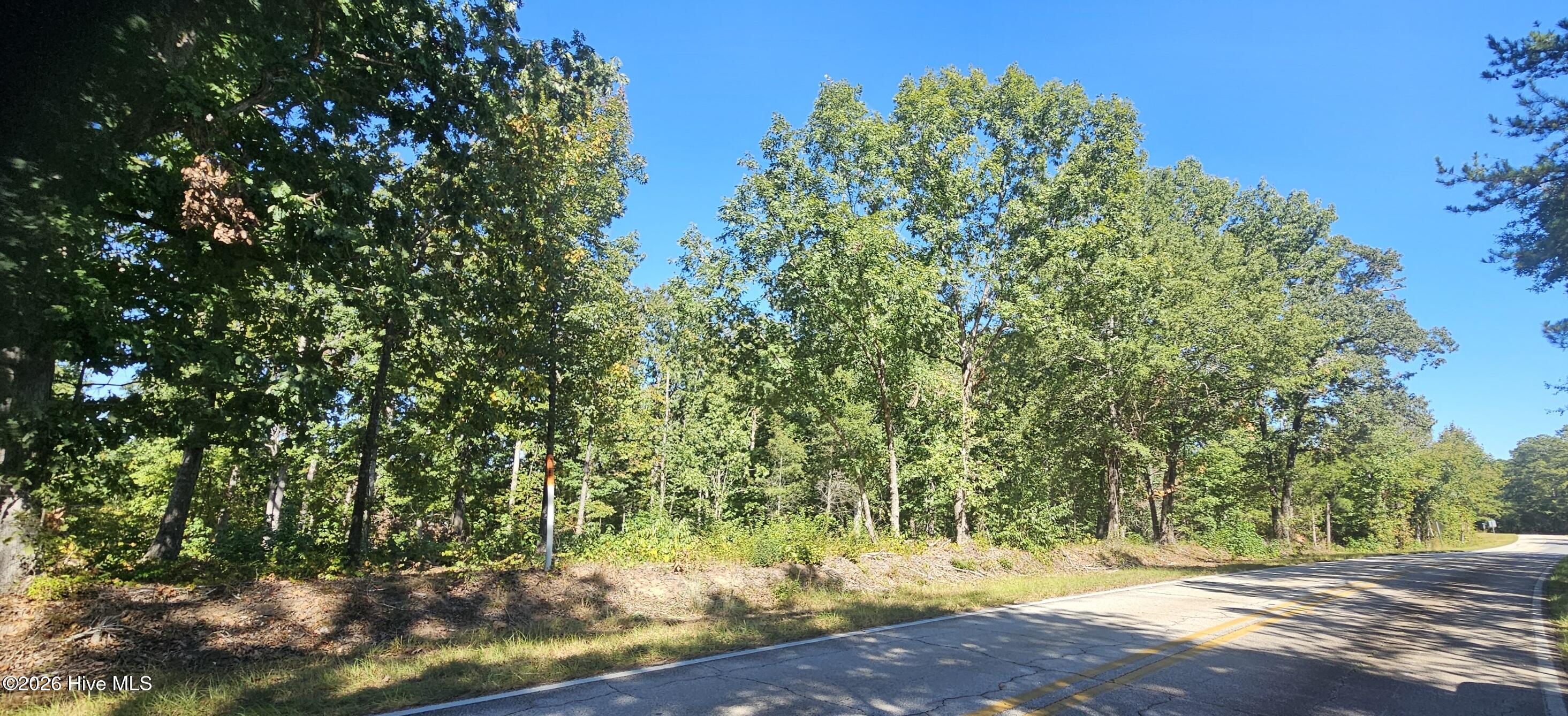 Tract 2 1 Bethany Church Road Property Photo 5