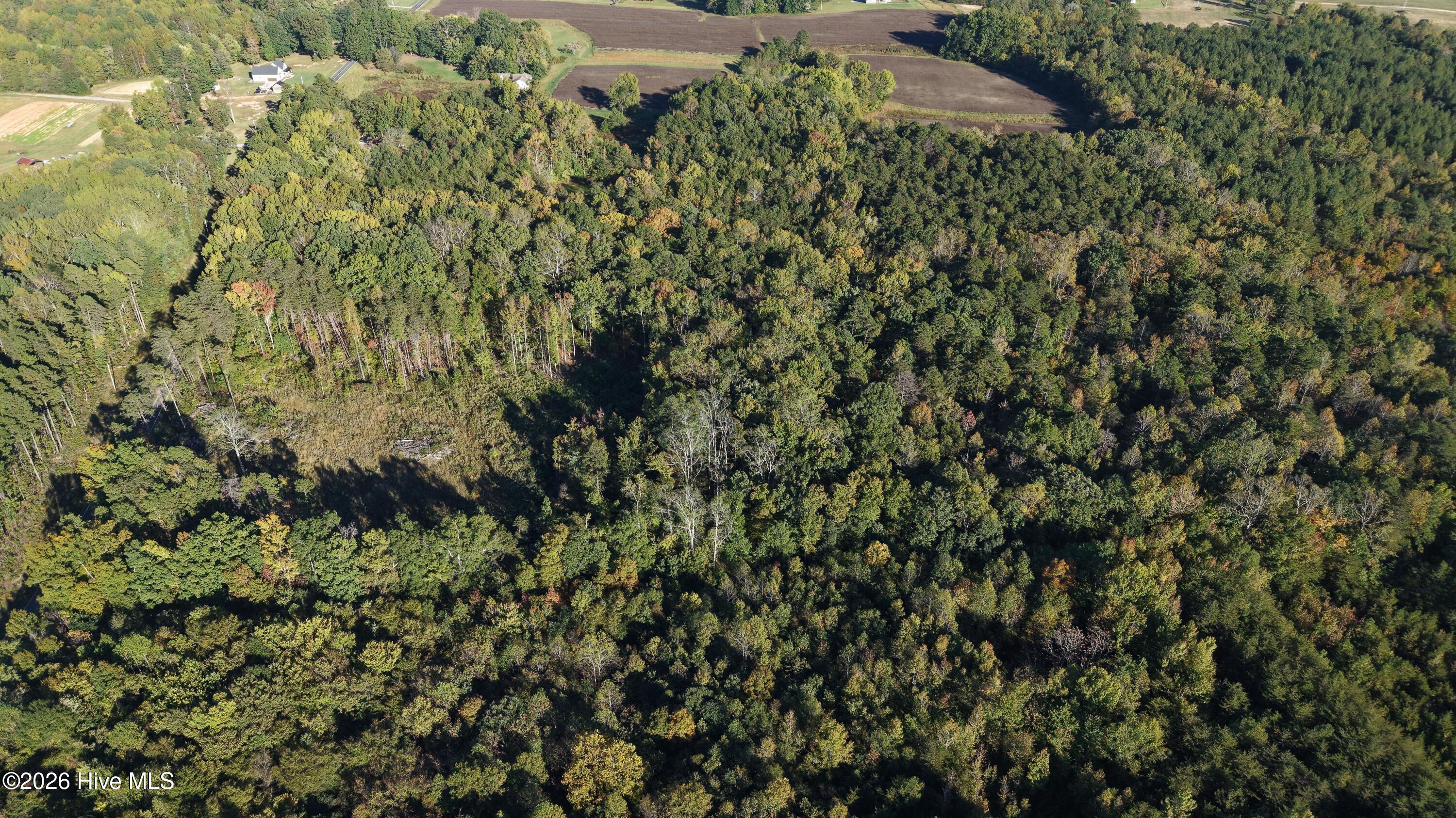 3641 Corbett Road Property Photo 24