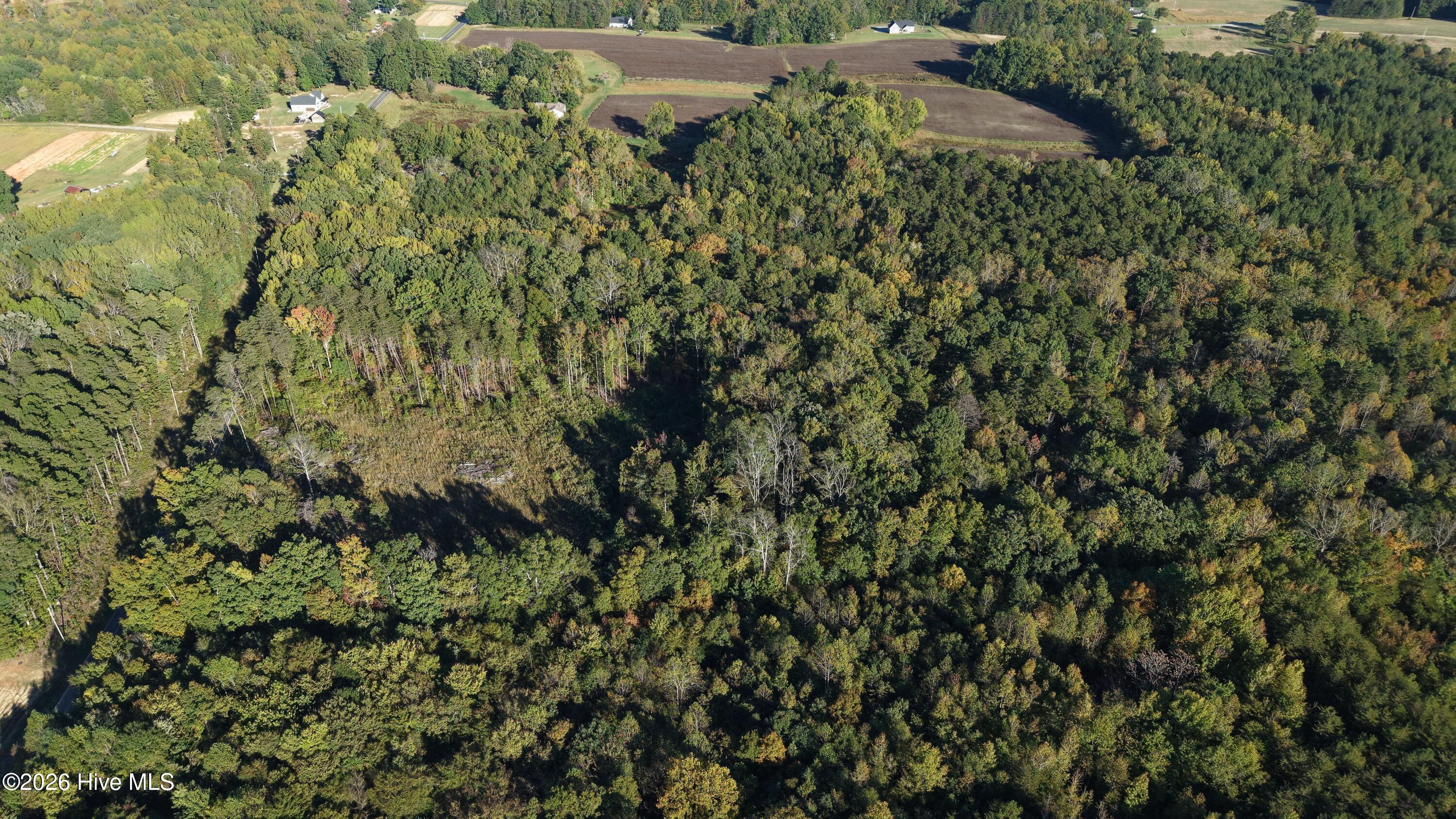 3641 Corbett Road Property Photo 25