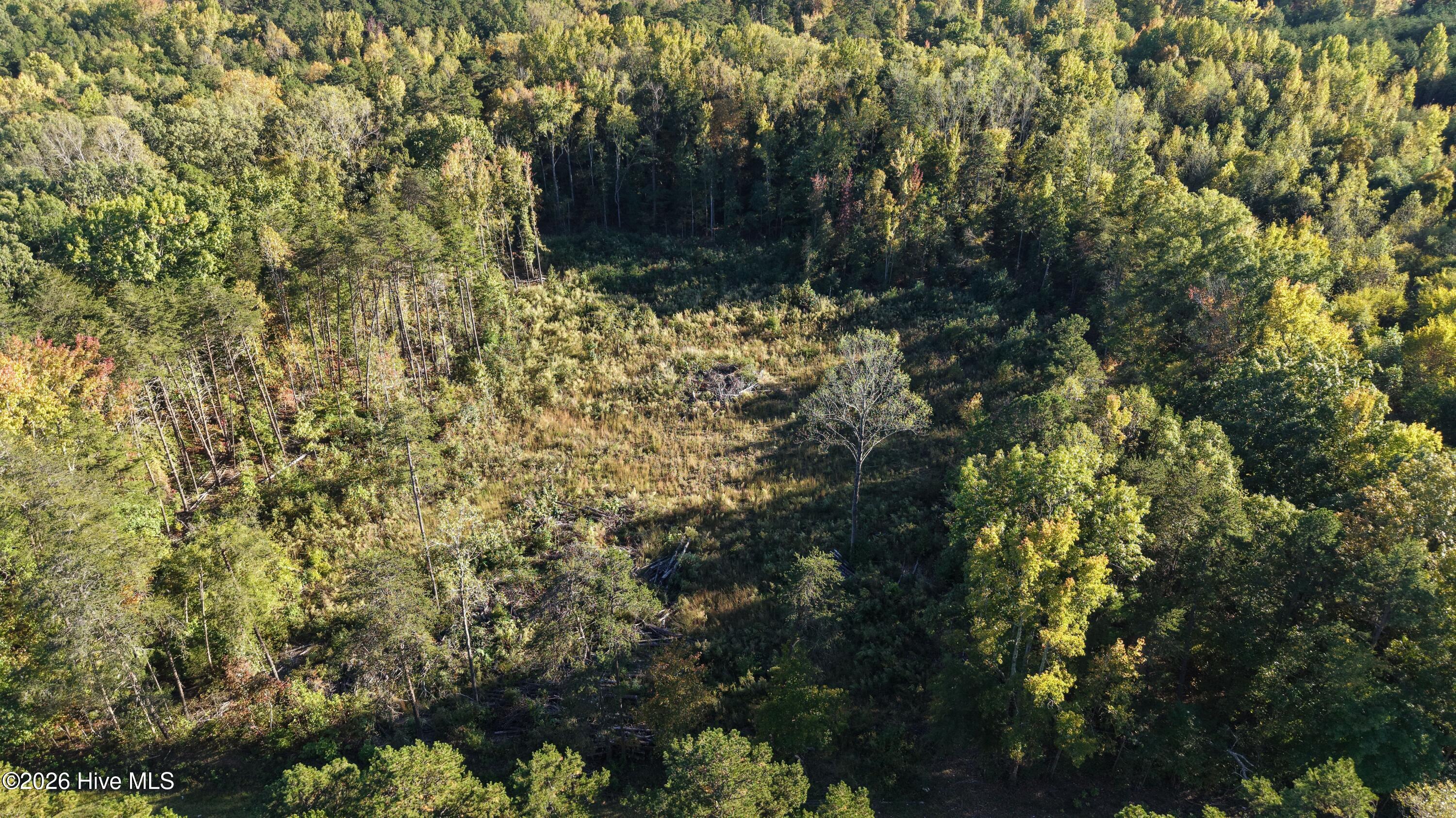 3641 Corbett Road Property Photo 33