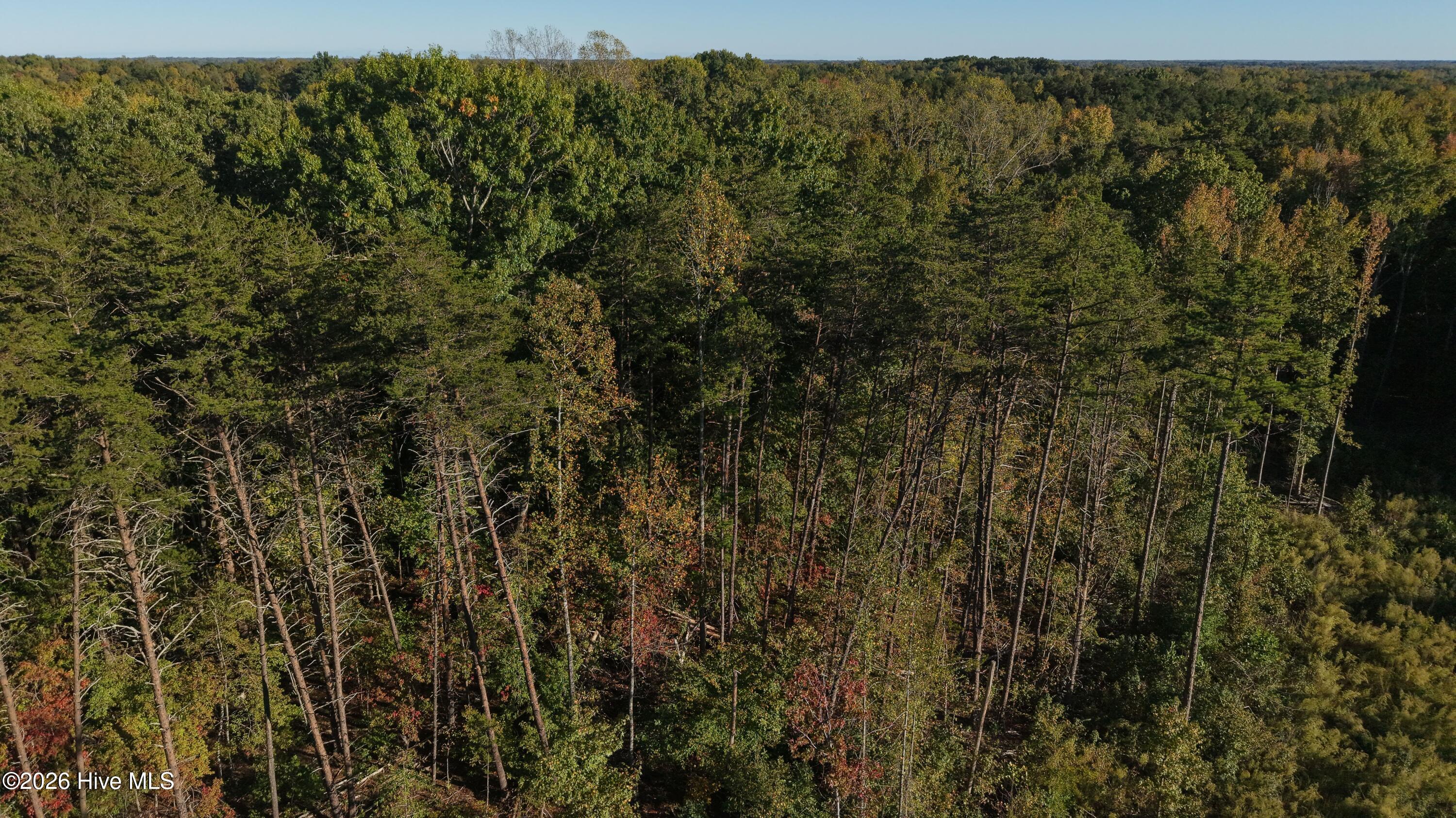 3641 Corbett Road Property Photo 42