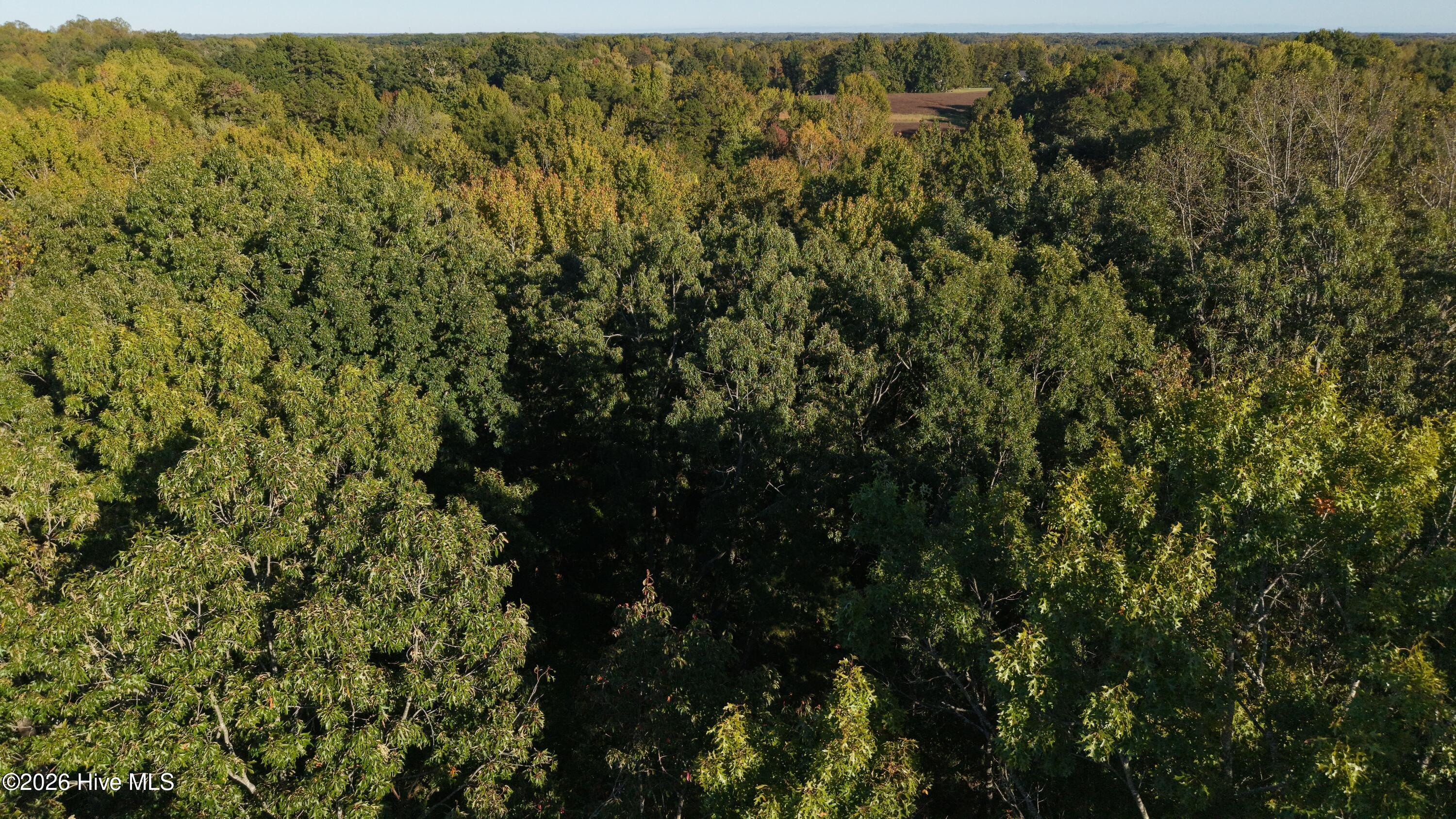 3641 Corbett Road Property Photo 43