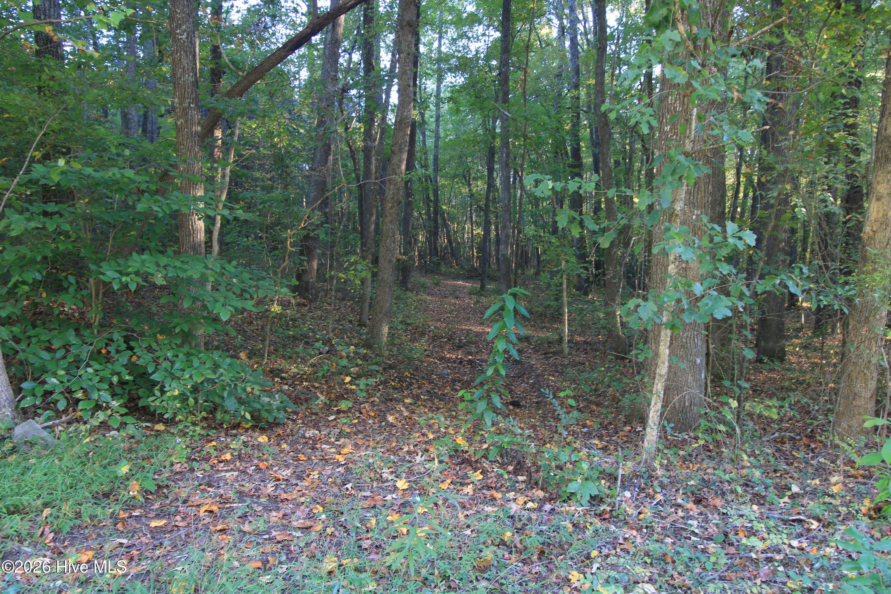 3641 Corbett Road Property Photo 51