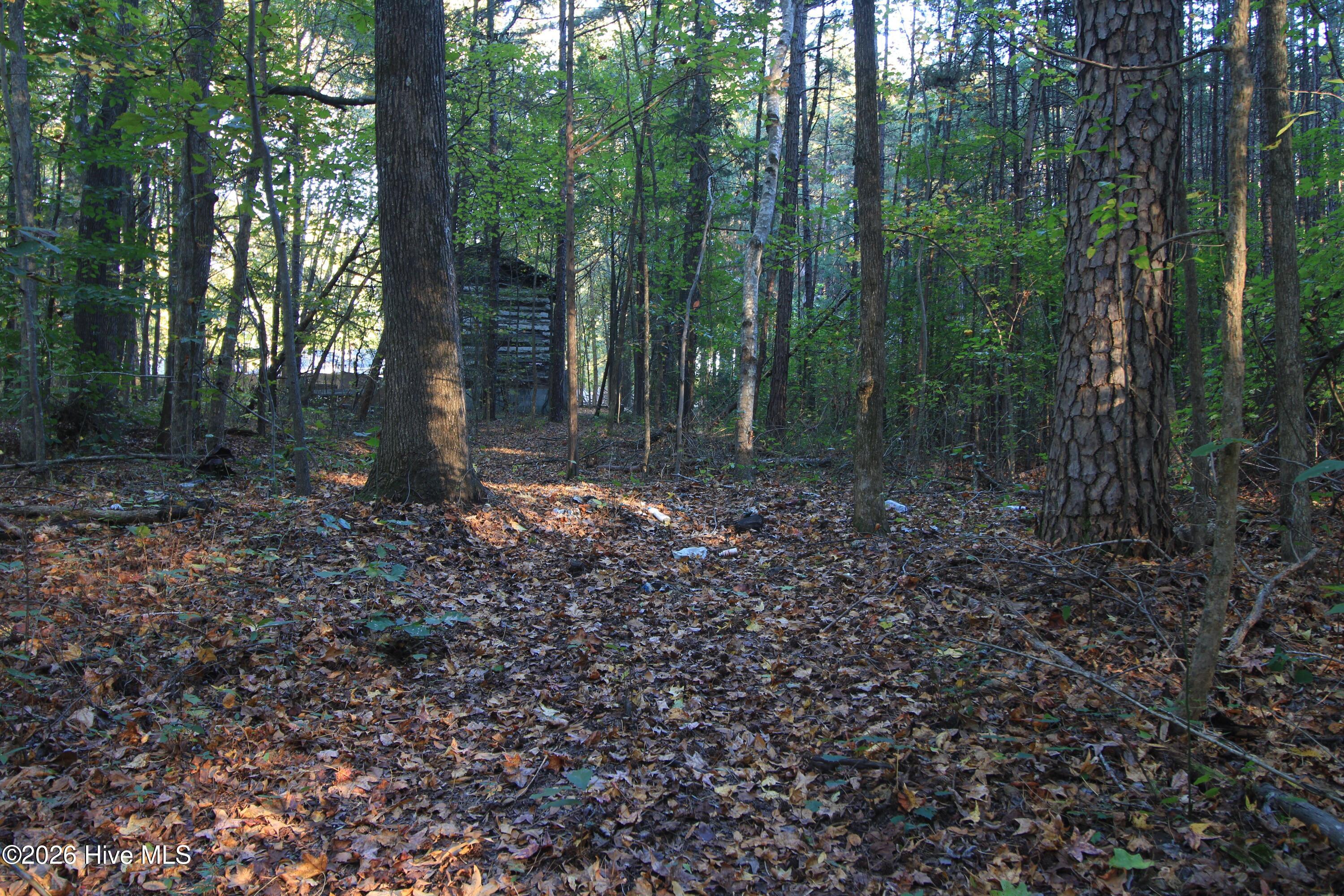 3641 Corbett Road Property Photo 52
