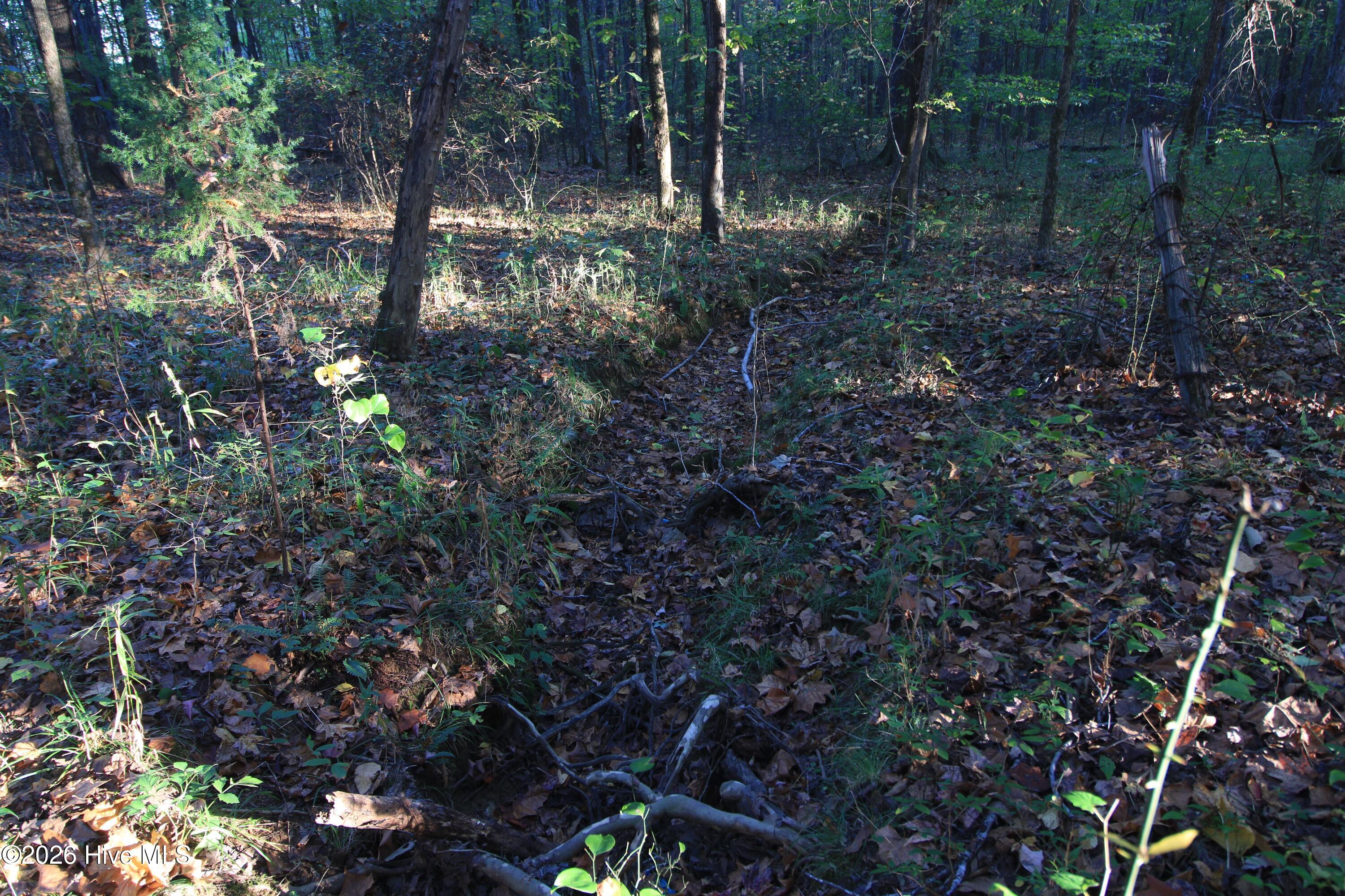 3641 Corbett Road Property Photo 54