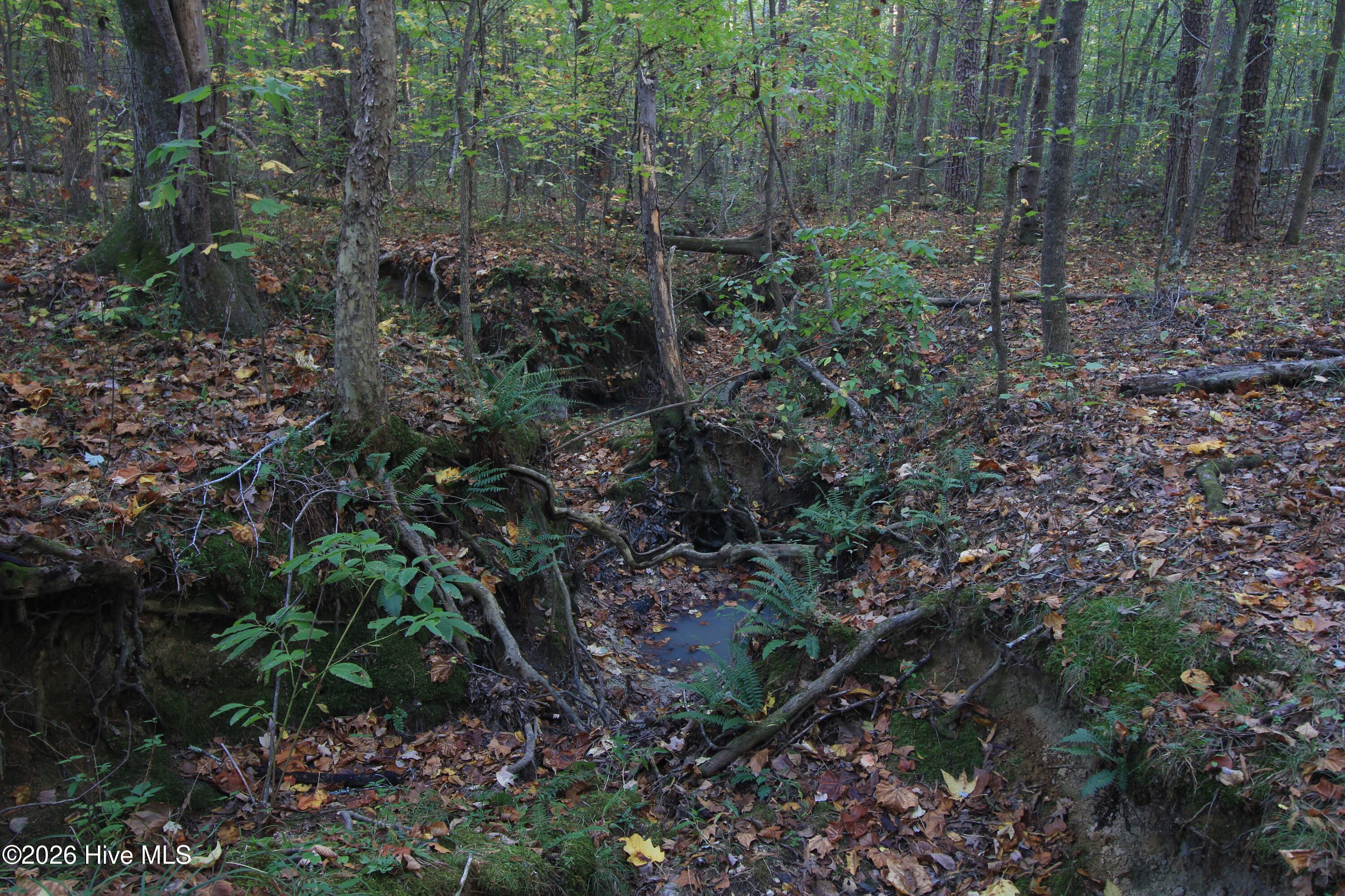 3641 Corbett Road Property Photo 55