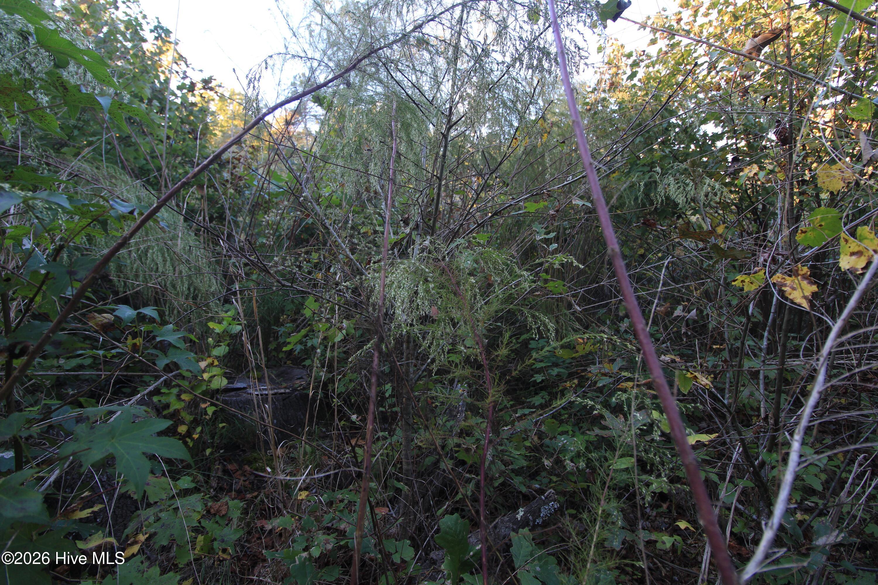 3641 Corbett Road Property Photo 56