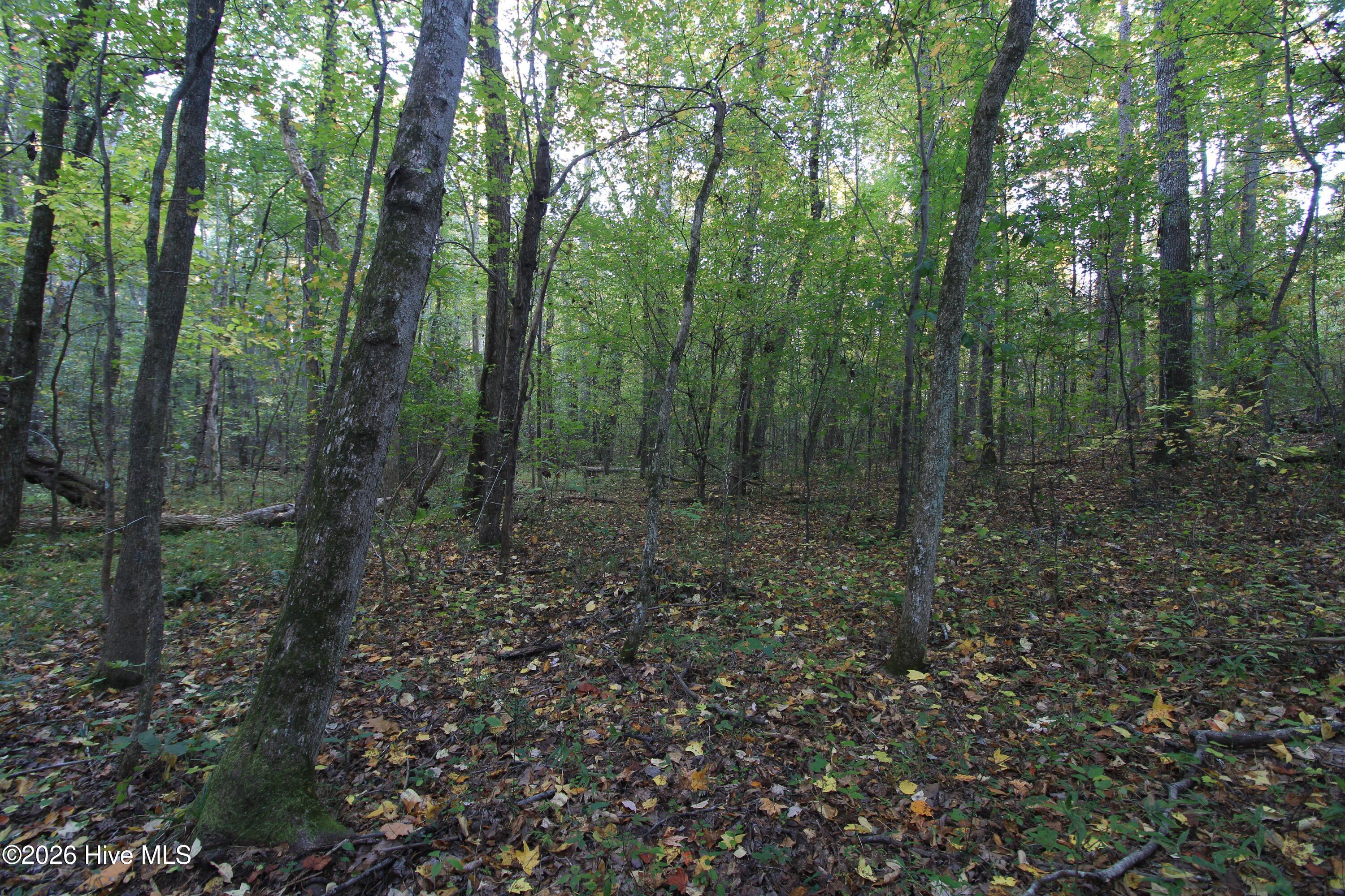 3641 Corbett Road Property Photo 57