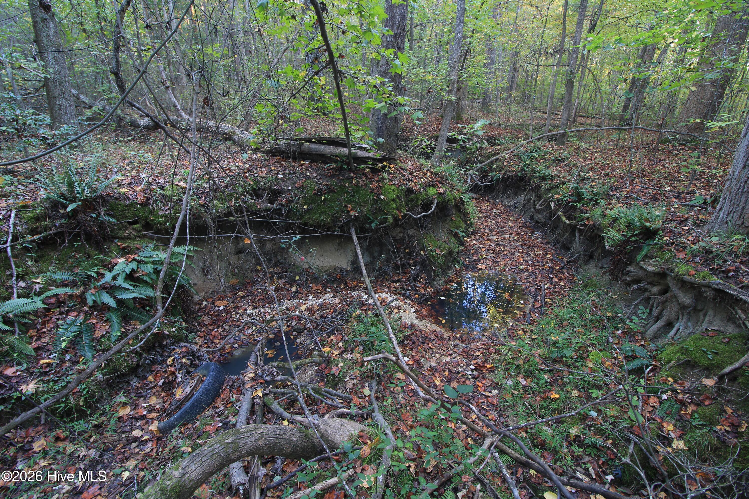 3641 Corbett Road Property Photo 58