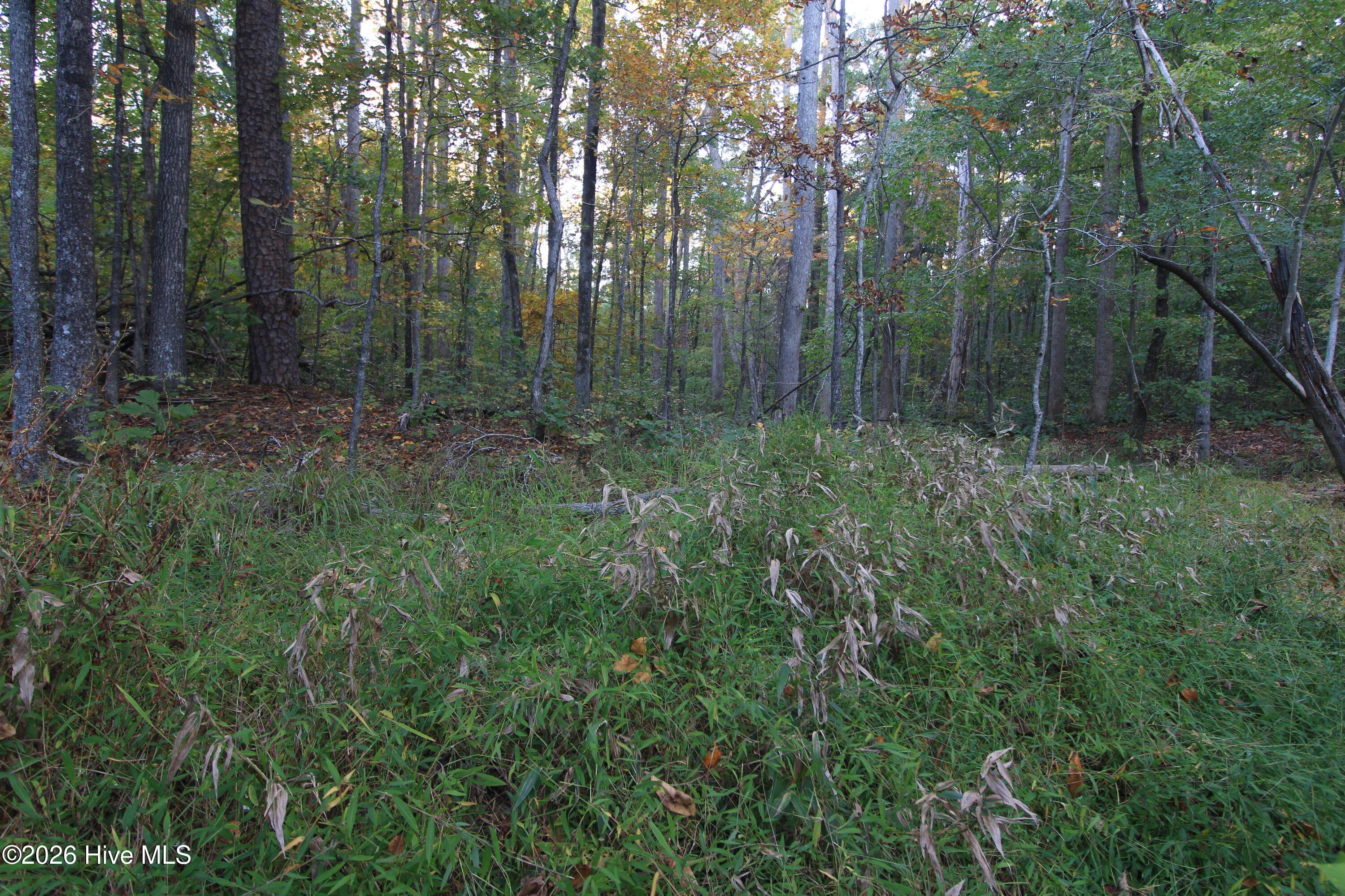 3641 Corbett Road Property Photo 60