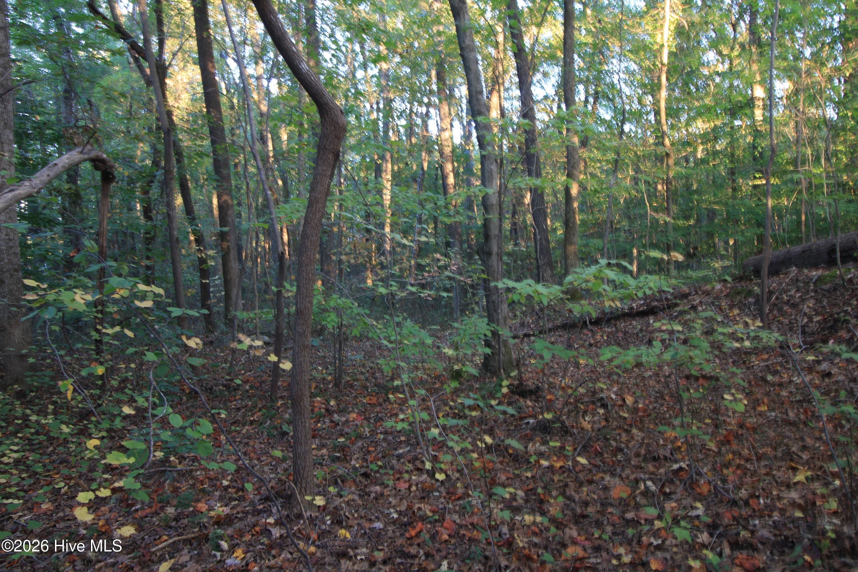 3641 Corbett Road Property Photo 63
