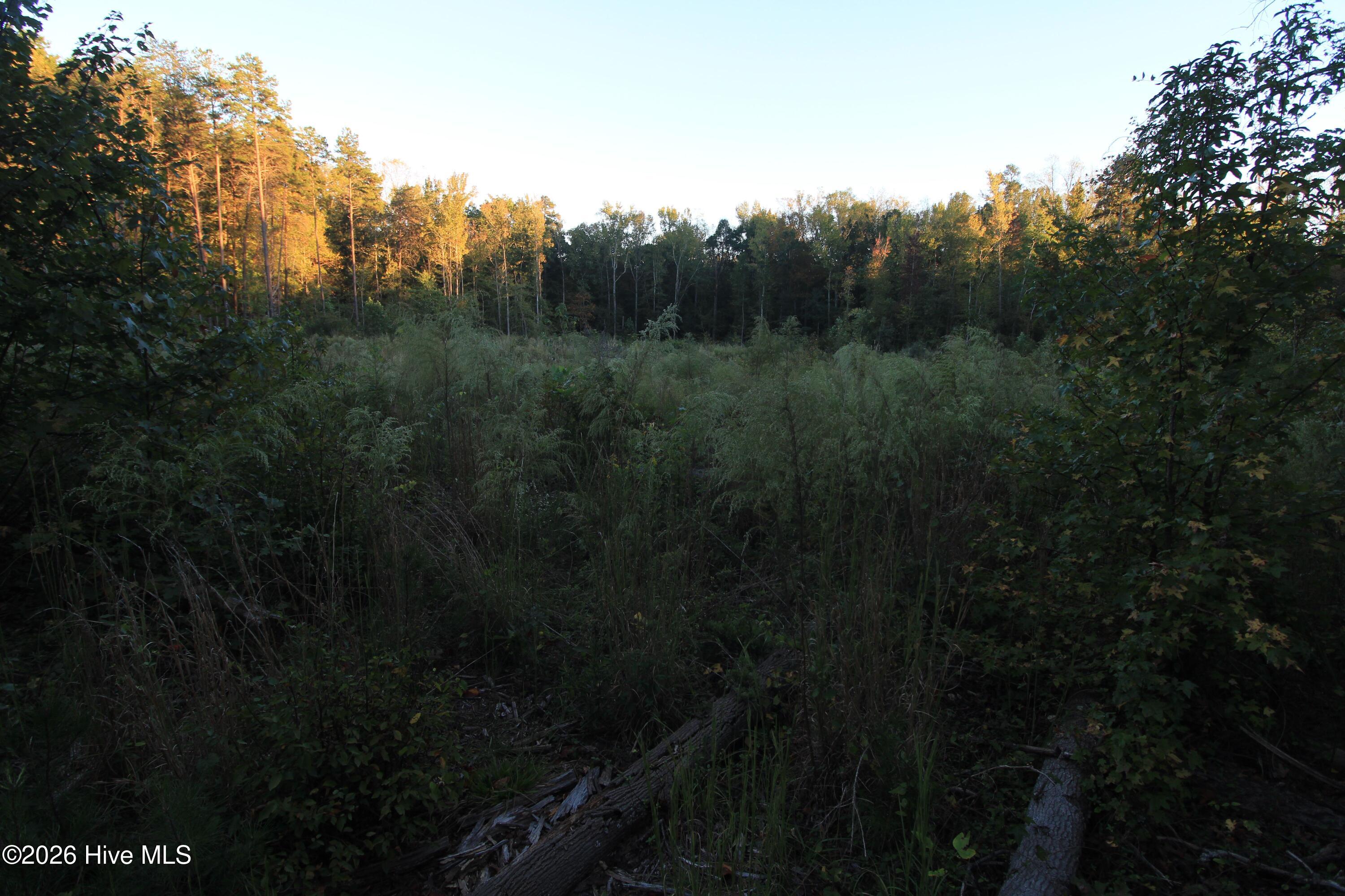 3641 Corbett Road Property Photo 71