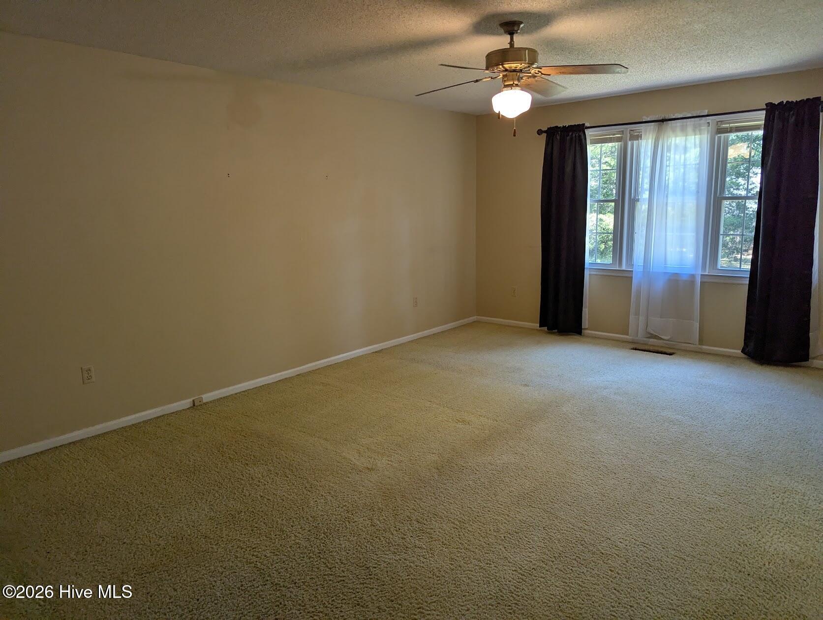 218 Longmeadow Road Property Photo 19