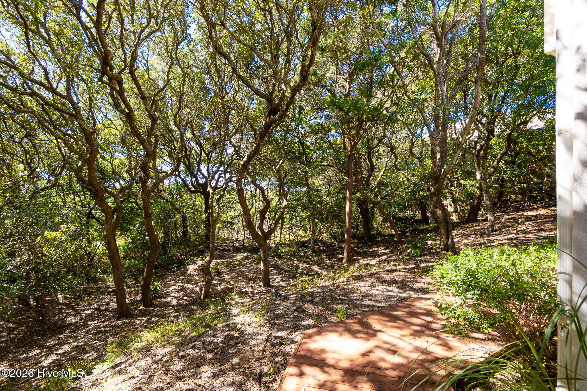 579 Coral Ridge Road Property Photo 44