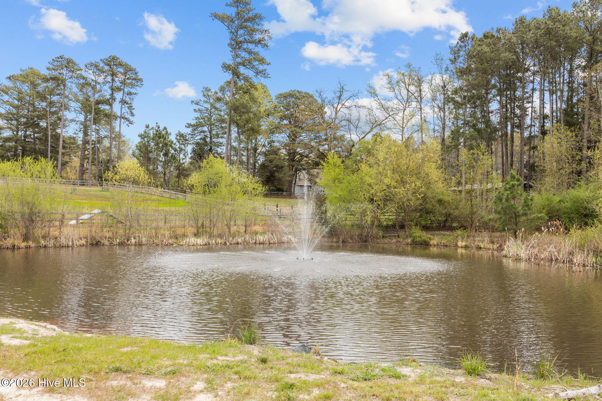 230 Causey Road Property Photo 24