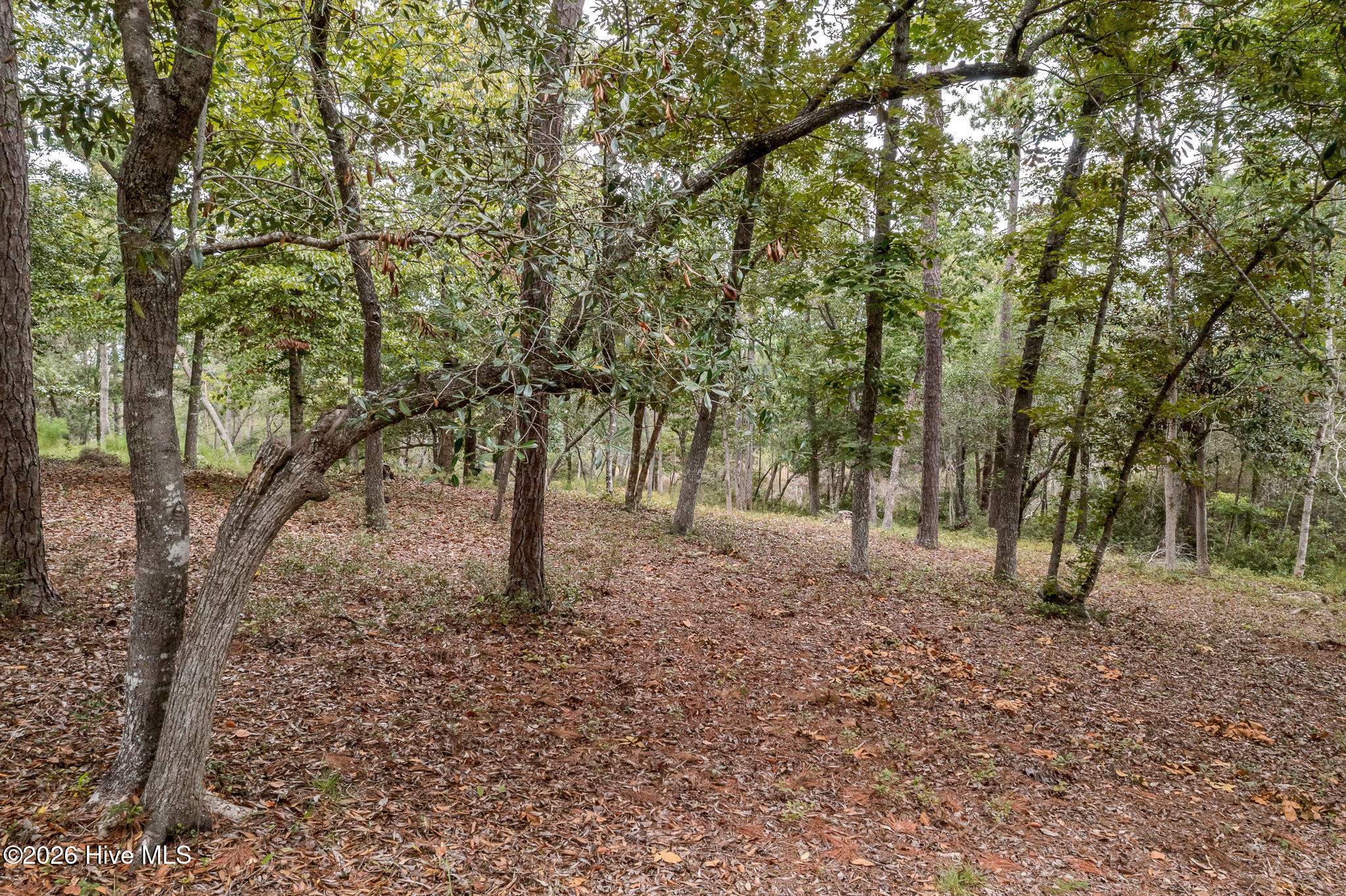 1764 8 Oyster Harbour Parkway Sw Property Photo 26
