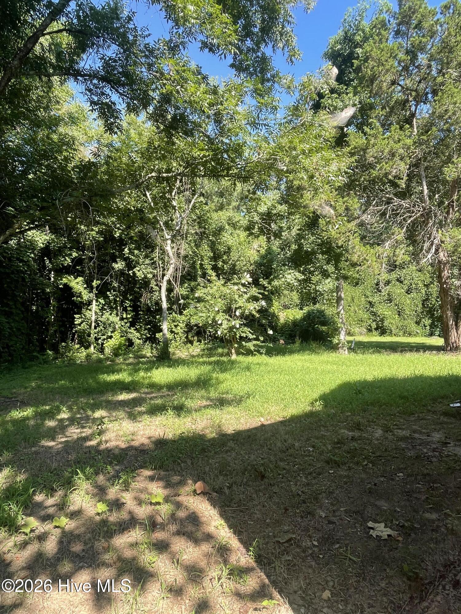 425 Rosa Hill Street Property Photo 17