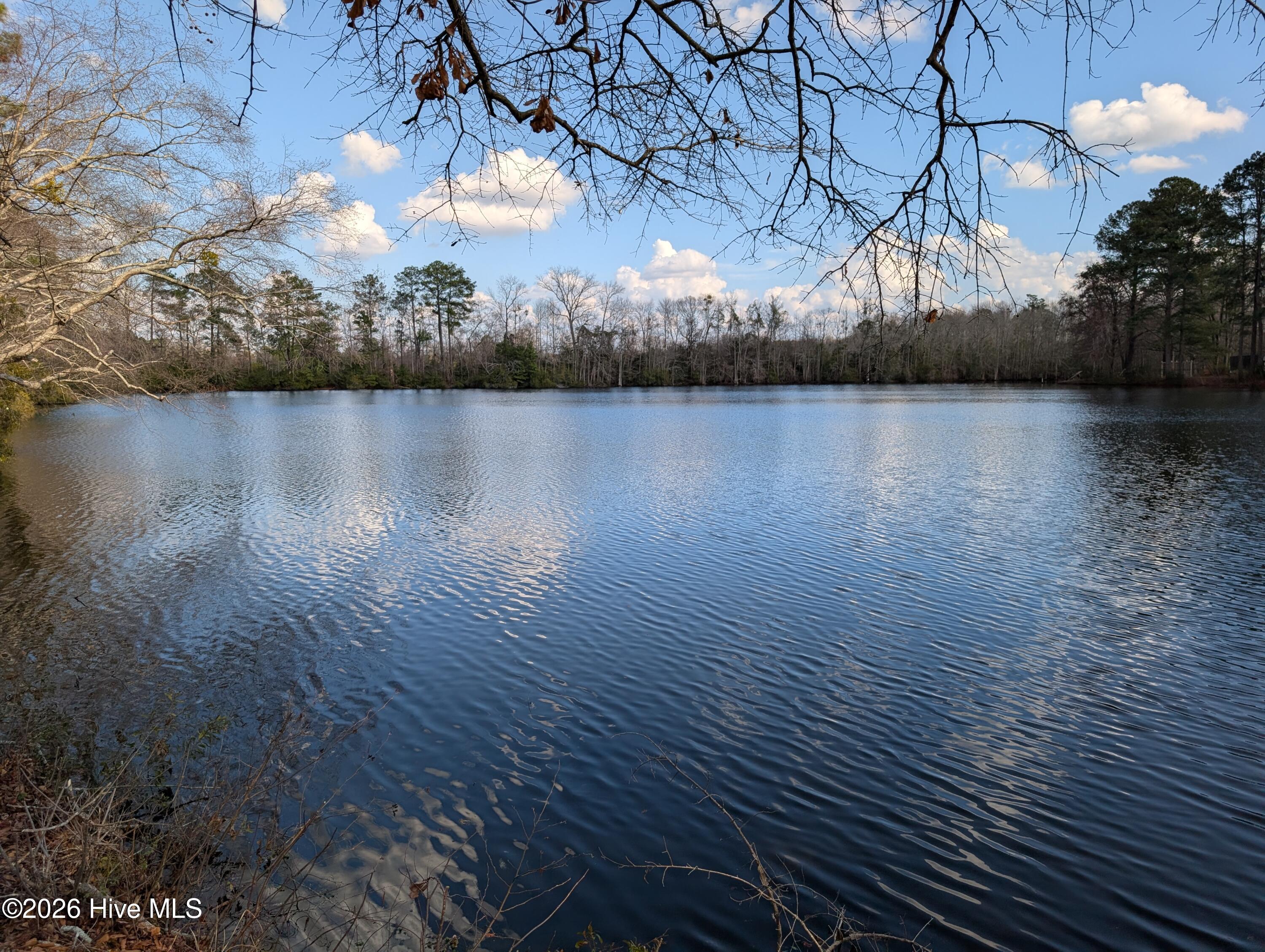 4719 Lakeview Road Property Photo 26