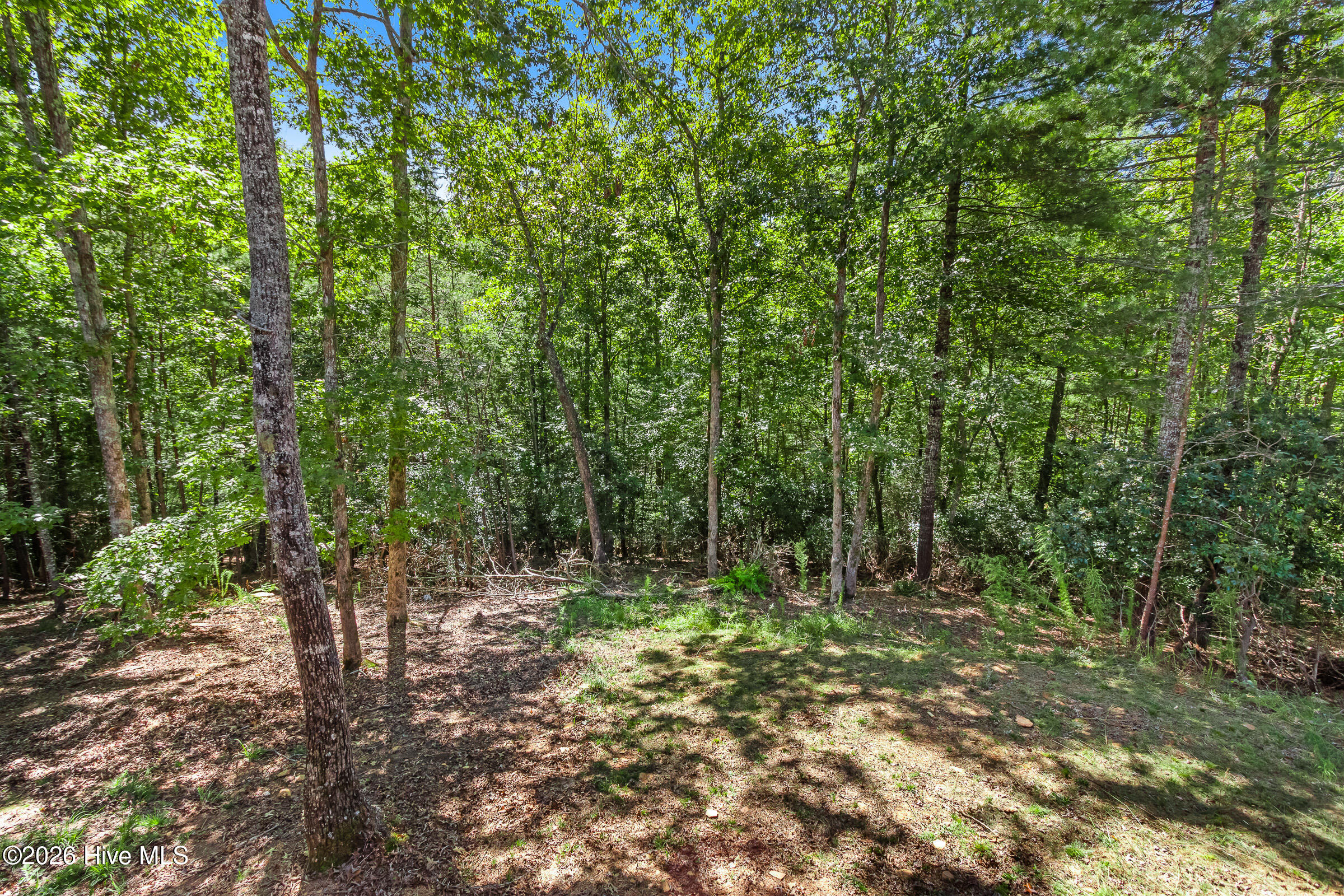 55 Ridgeline Road Property Photo 44