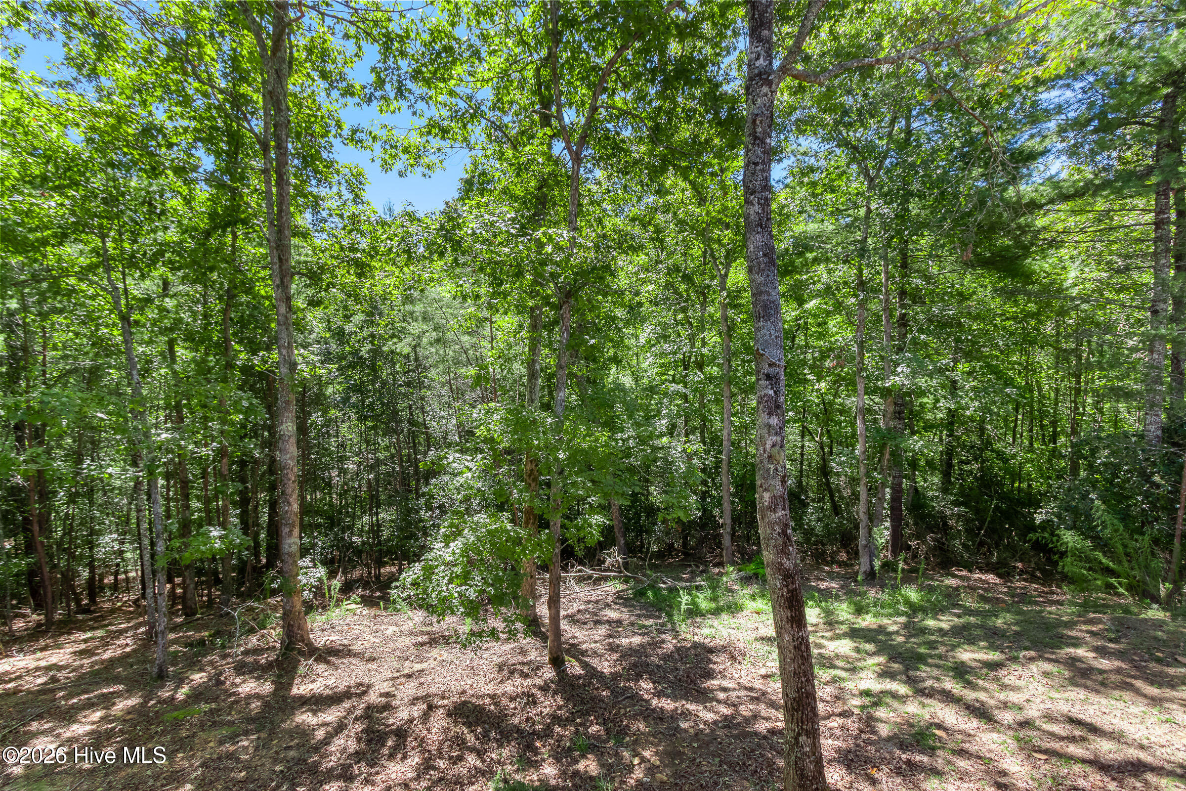 55 Ridgeline Road Property Photo 53