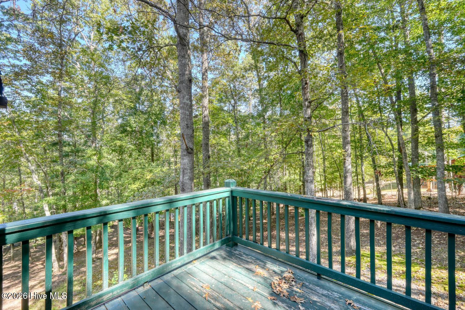 219 Stonecrest Lane Property Photo 33