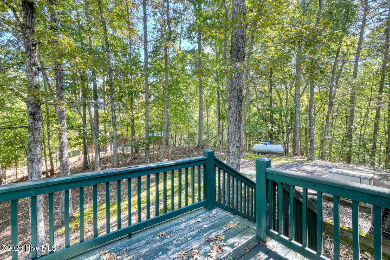 219 Stonecrest Lane Property Photo 34
