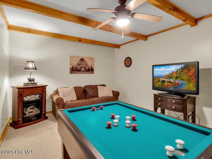 193 Driftwood Loop Property Photo 16