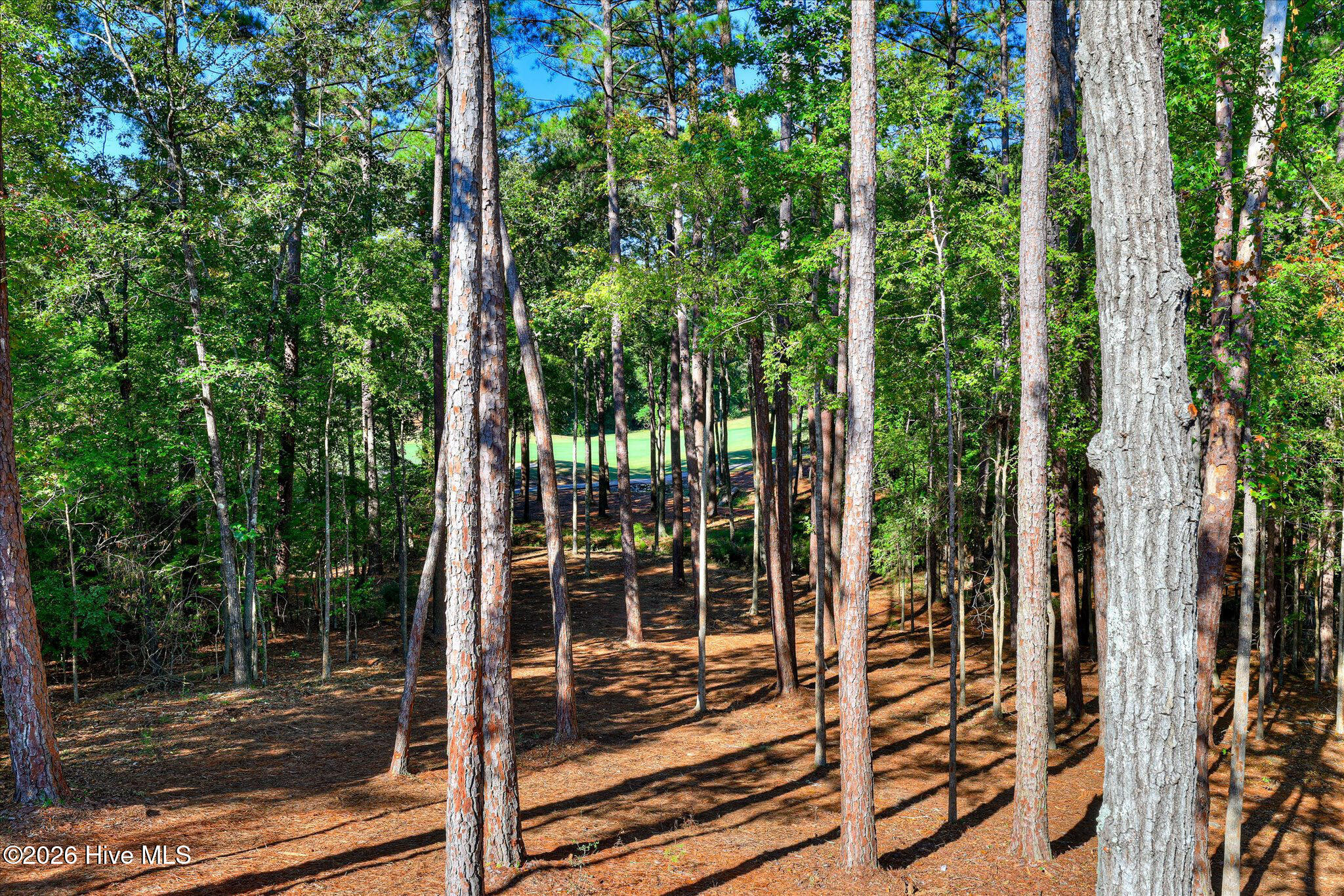 212 Pirates Cove Property Photo 3
